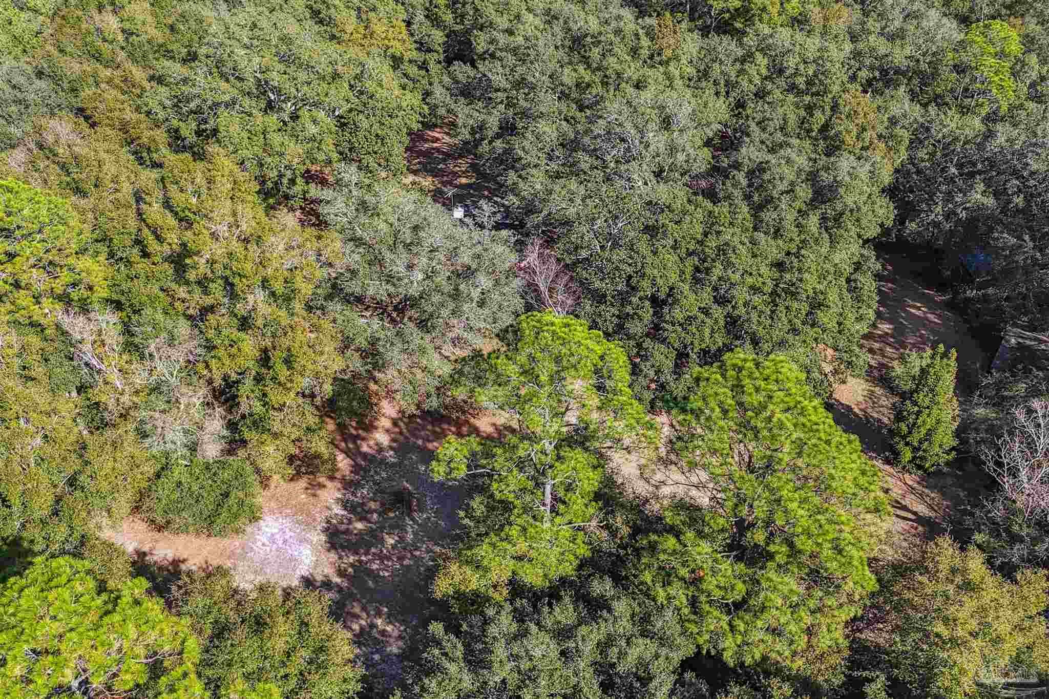 7665 Lund Road Milton, FL 32570 - Photo 13 of 46 Gallery Image 13