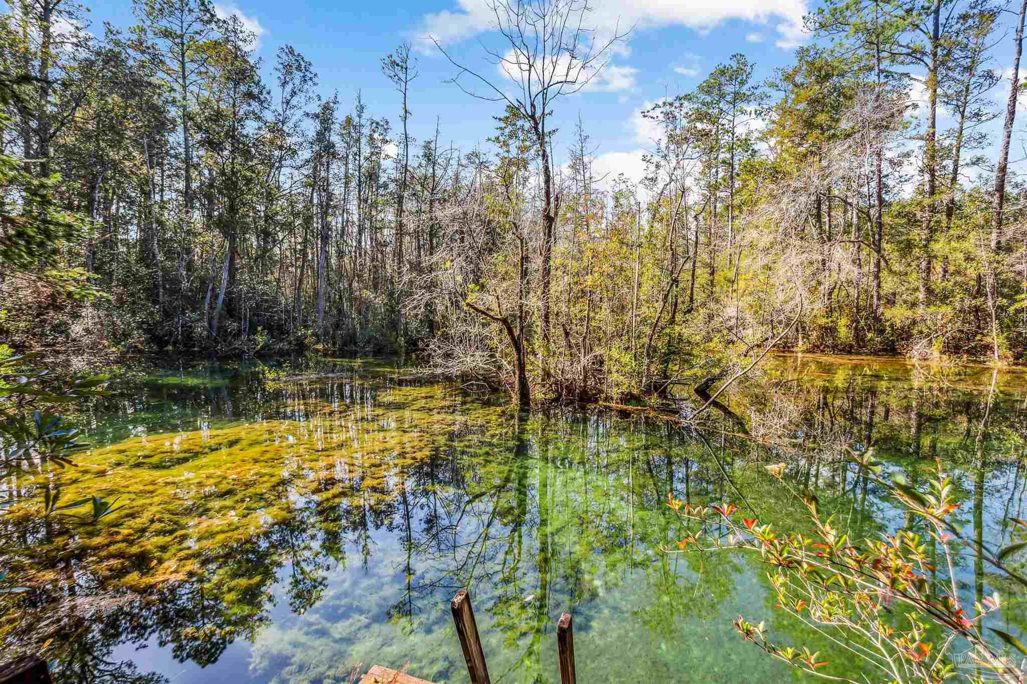 7665 Lund Road Milton, FL 32570 - Photo 18 of 46 Gallery Image 18
