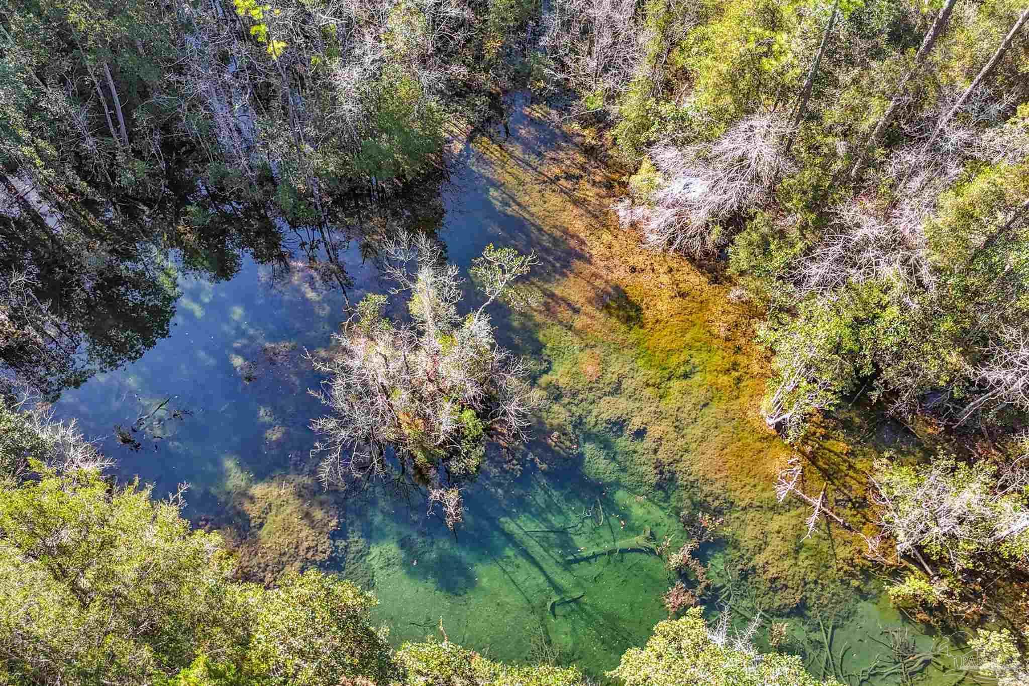 7665 Lund Road Milton, FL 32570 - Photo 8 of 46 Gallery Image 8