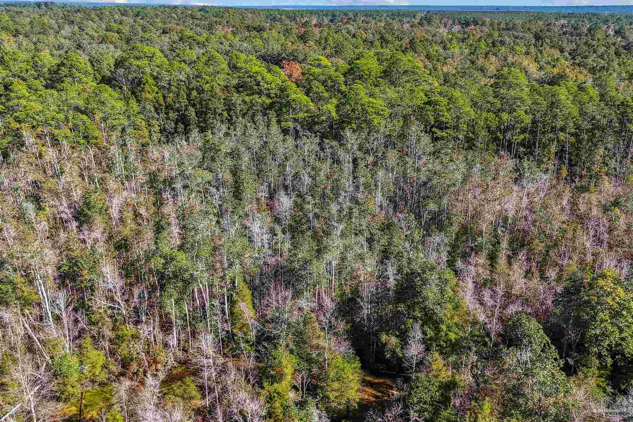7665 Lund Road Milton, FL 32570 - Photo 10 of 46 Gallery Image 10