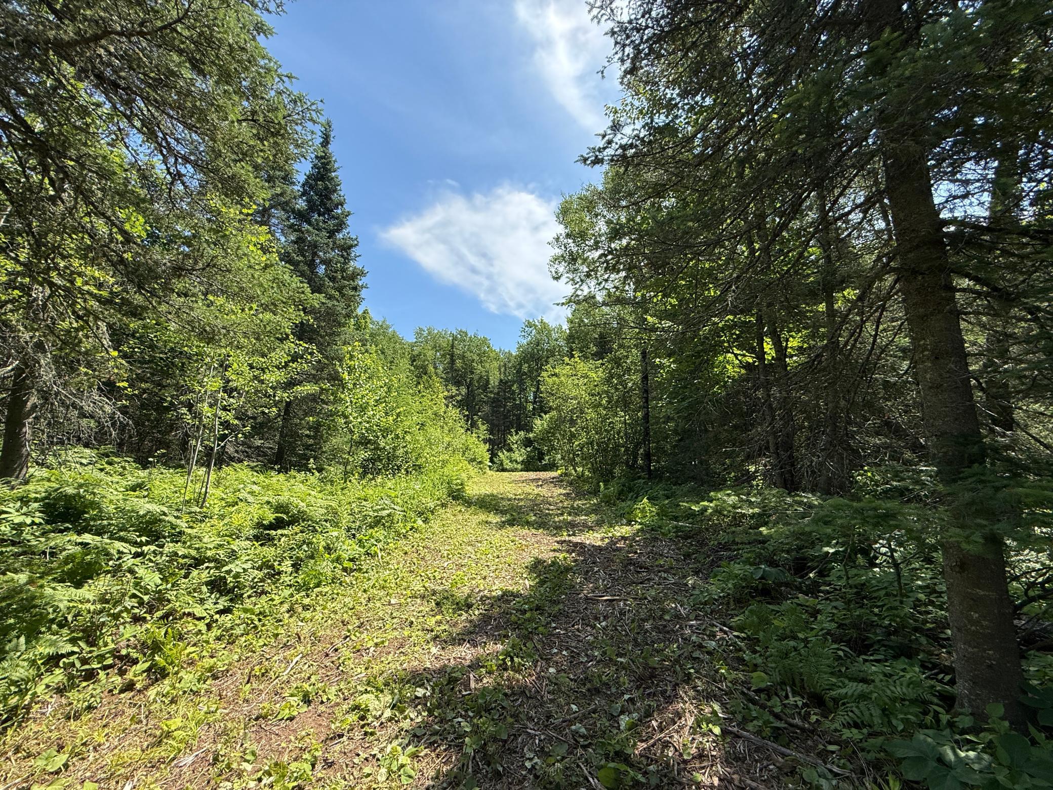 Tbd Arnold Road Duluth, MN 55803 - Photo 21 of 48 Gallery Image 21