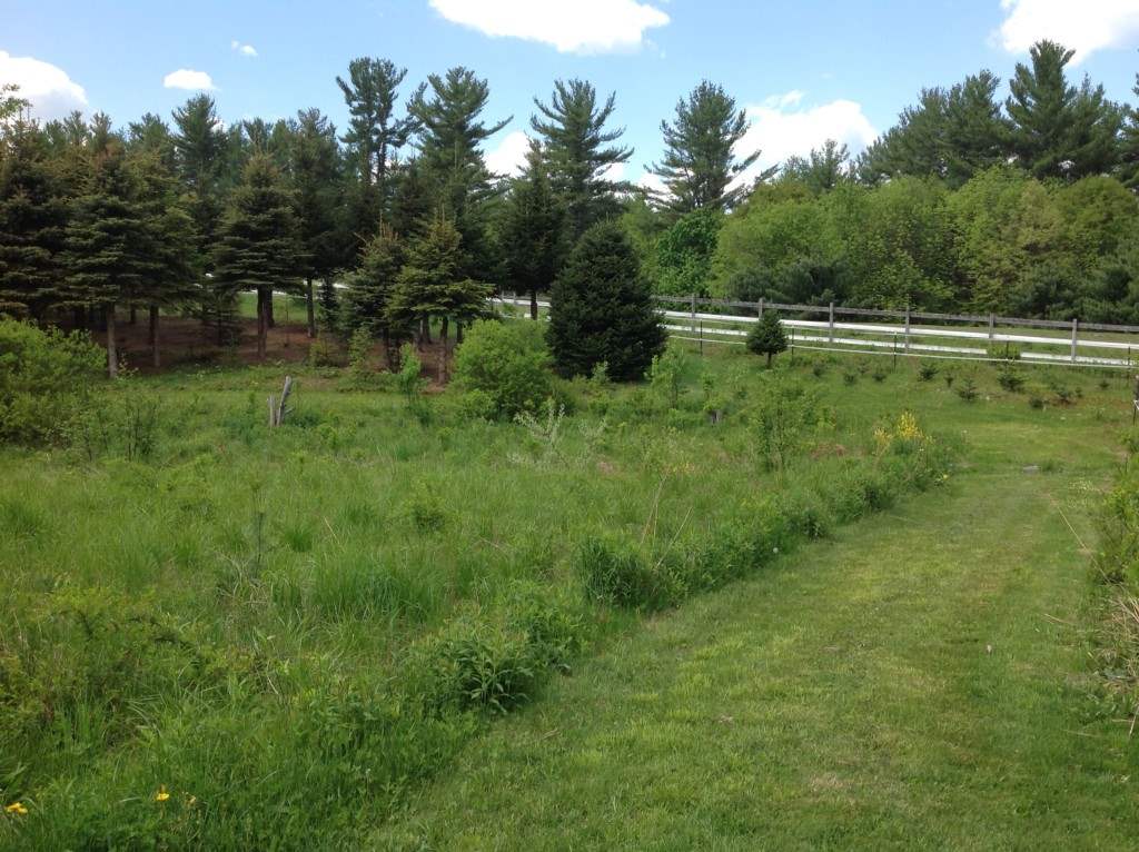 68 Woodhill Road Bow, NH 03304 - Photo 35 of 36