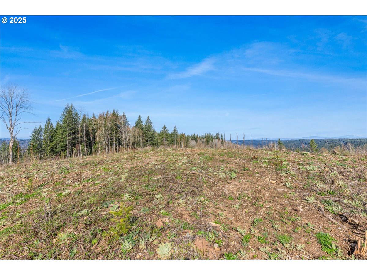 0 Southeast Herrick Road Sandy, OR 97055 - Photo 14 of 35 Gallery Image 14