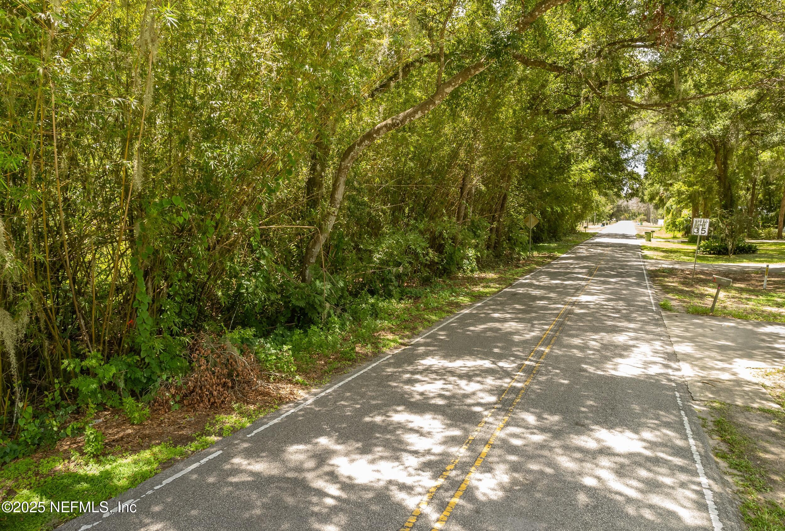 0 Lundy Road Palatka, FL 32177 - Photo 6 of 6 a view of a yard with plants and trees