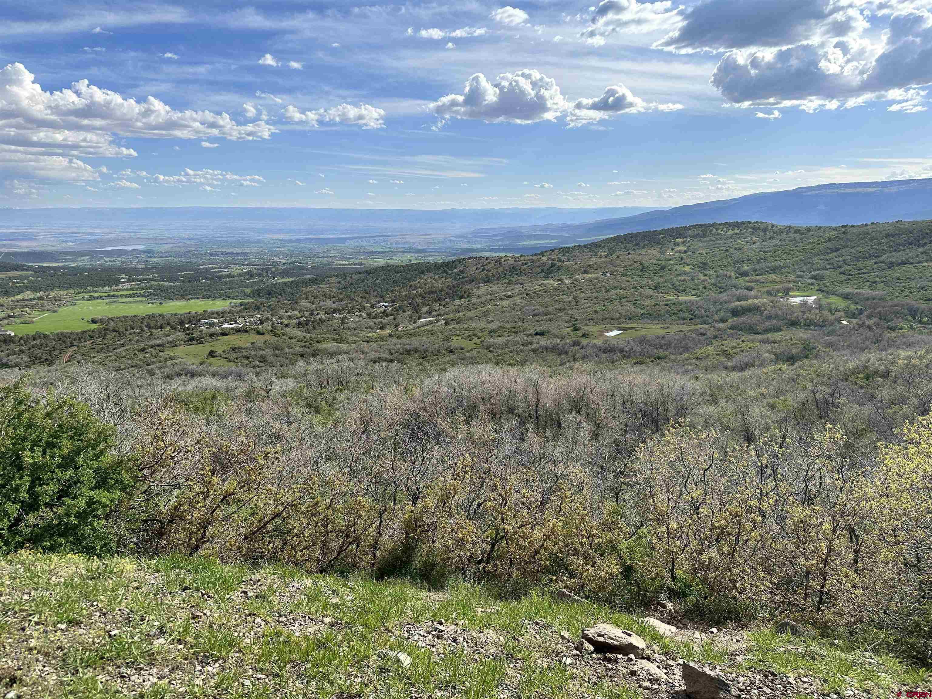 25137 Starner Loop Road Cedaredge, CO 81413 - Photo 12 of 33