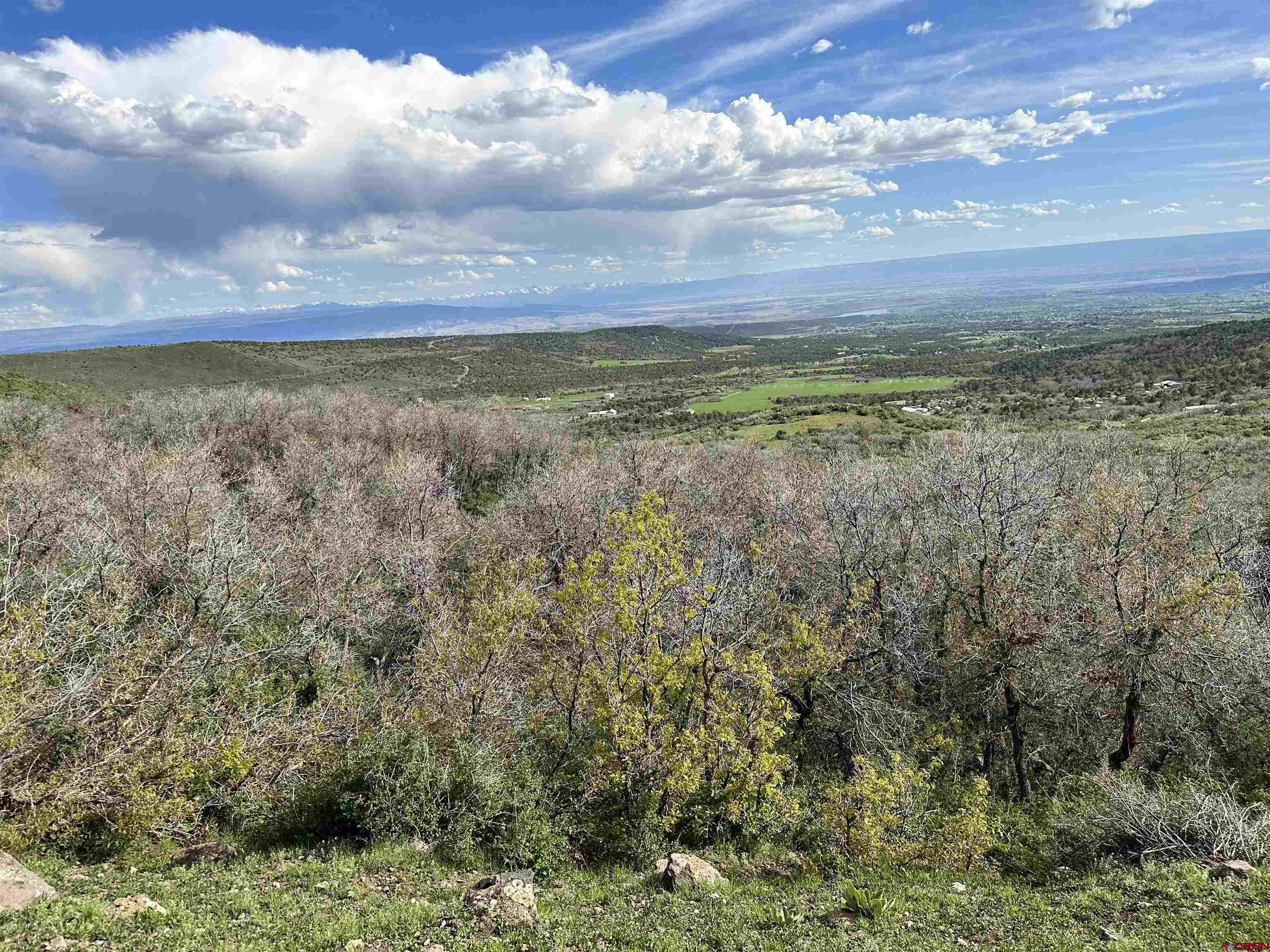 25137 Starner Loop Road Cedaredge, CO 81413 - Photo 14 of 33 a view of lake and mountain