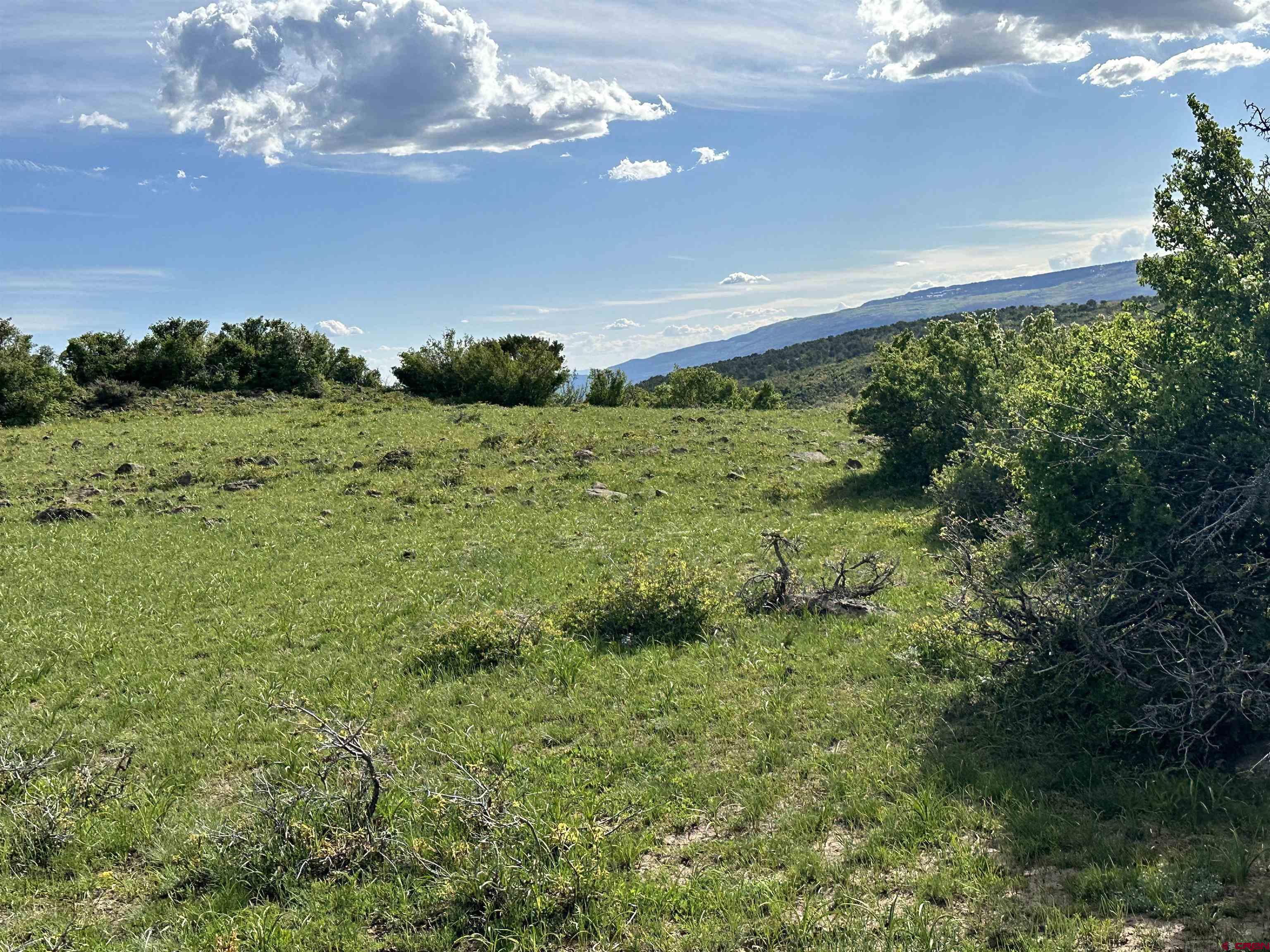 25137 Starner Loop Road Cedaredge, CO 81413 - Photo 17 of 33 a view of an outdoor space and a yard