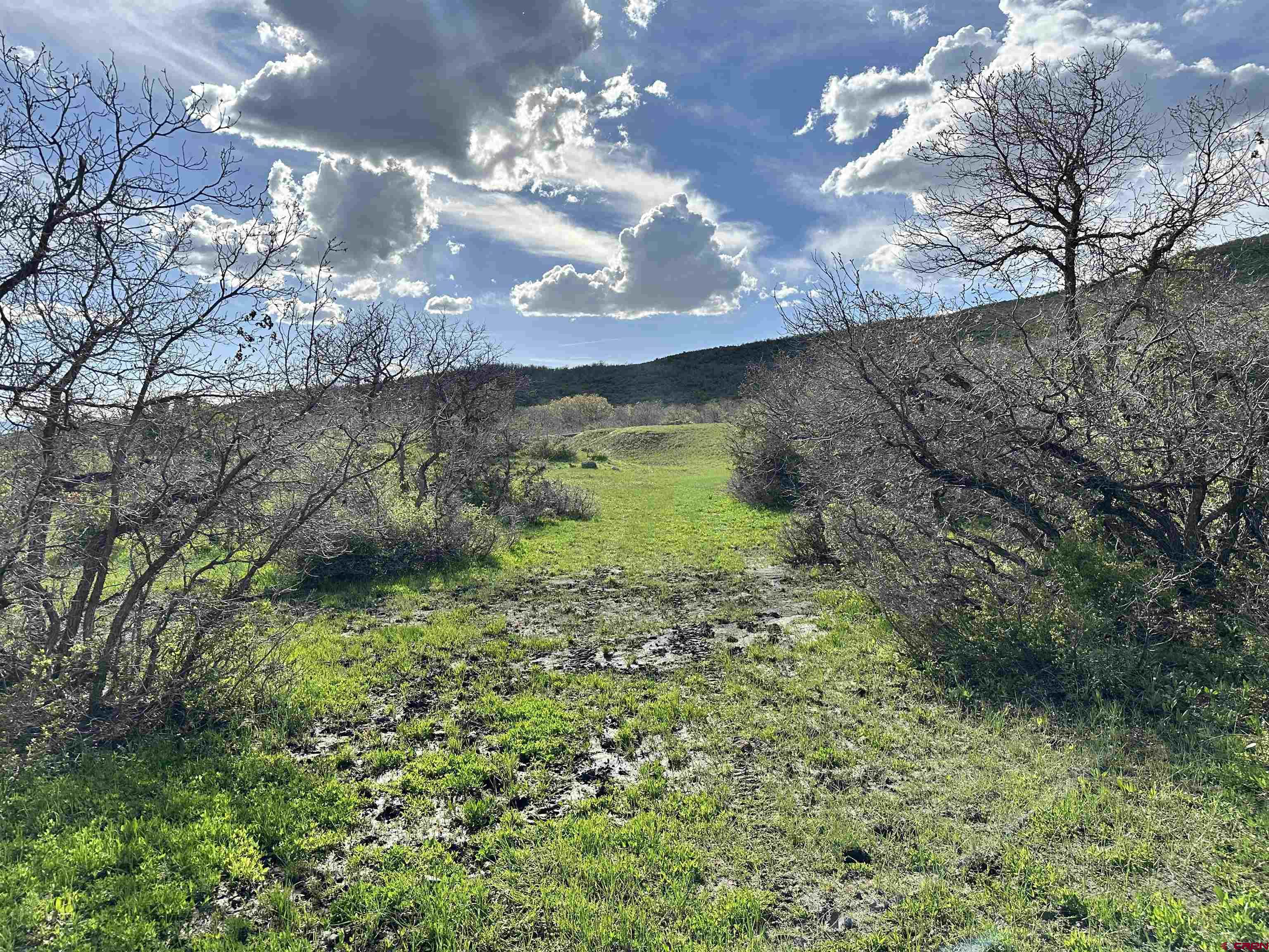 25137 Starner Loop Road Cedaredge, CO 81413 - Photo 19 of 33 a view of a house with a yard
