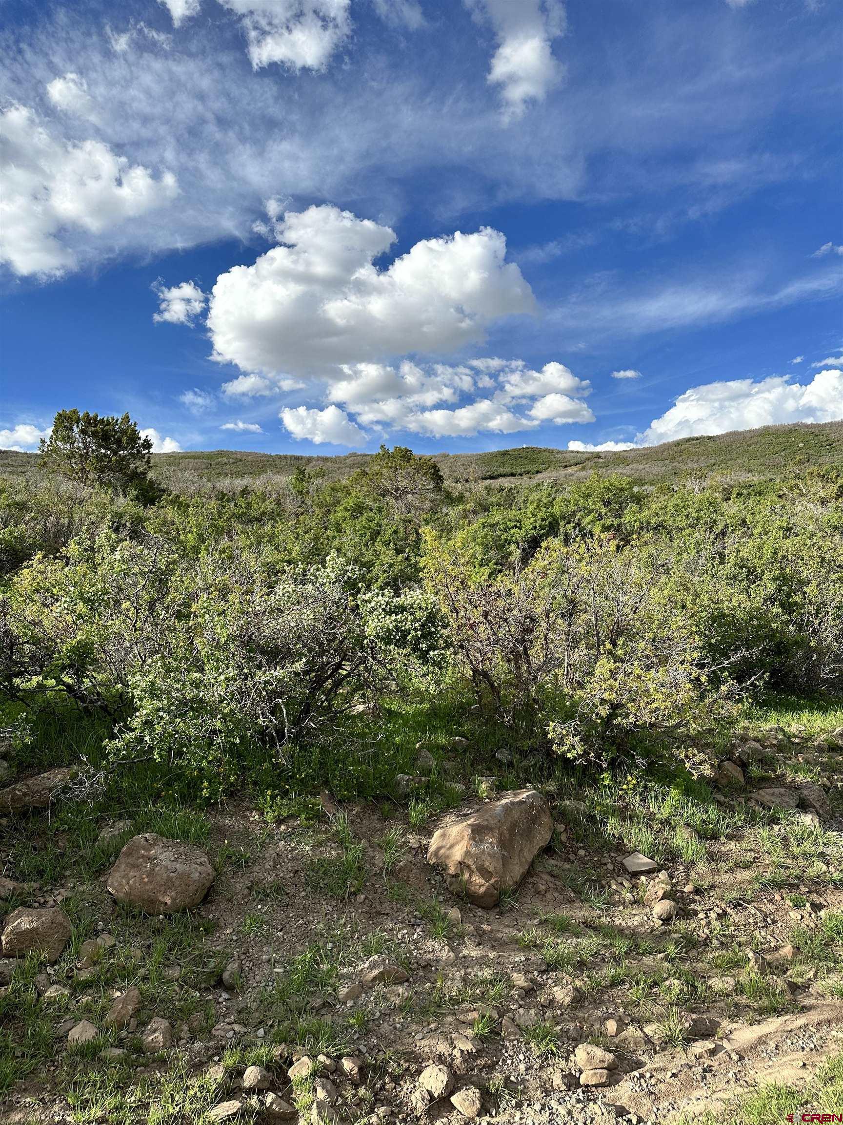 25137 Starner Loop Road Cedaredge, CO 81413 - Photo 20 of 33 a view of a city