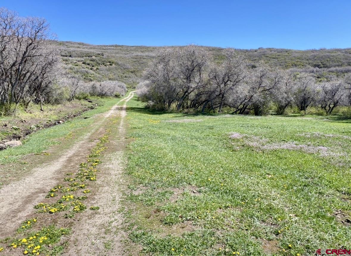 25137 Starner Loop Road Cedaredge, CO 81413 - Photo 2 of 33 a view of a yard with an ocean view