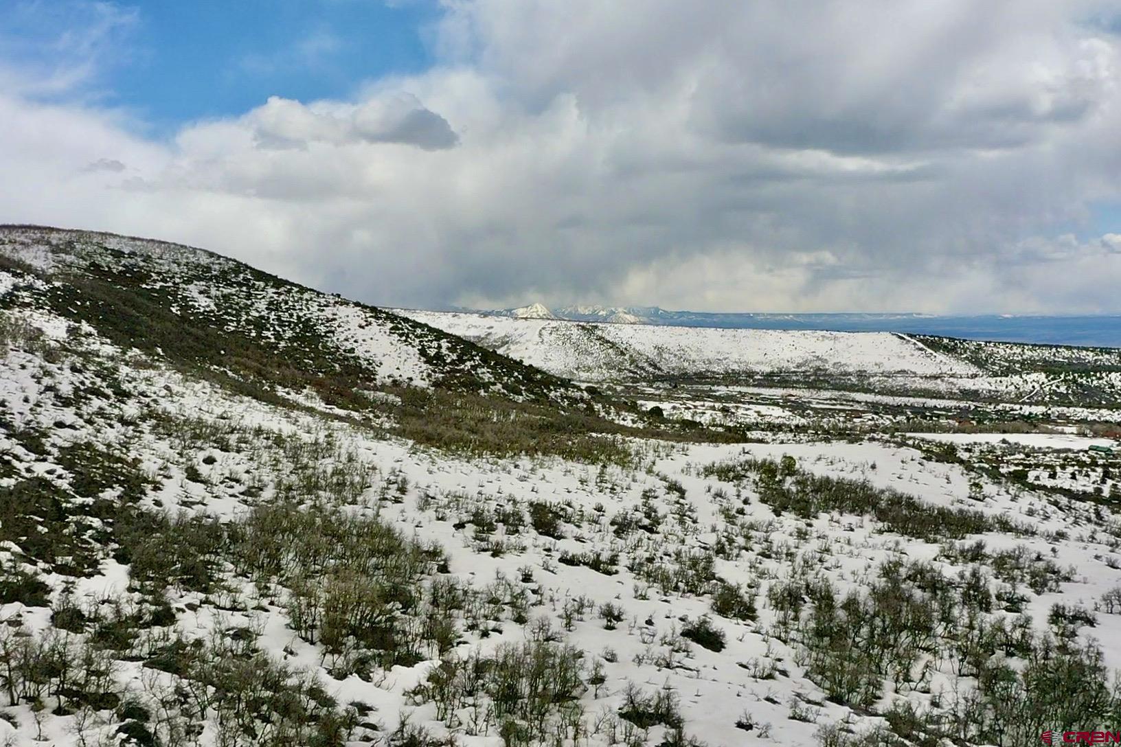 25137 Starner Loop Road Cedaredge, CO 81413 - Photo 23 of 33 a view of a building
