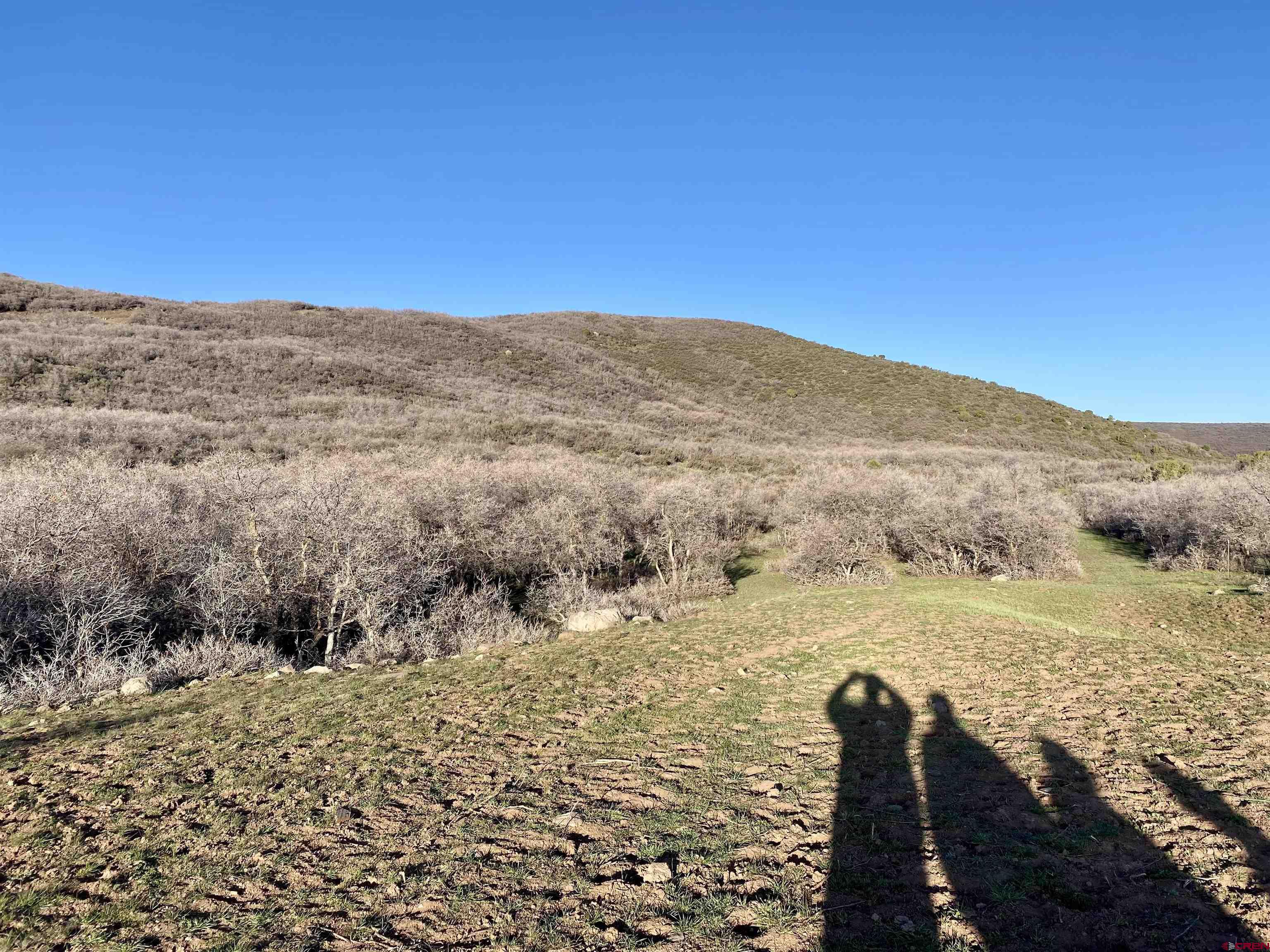 25137 Starner Loop Road Cedaredge, CO 81413 - Photo 25 of 33 a view of an ocean and mountain