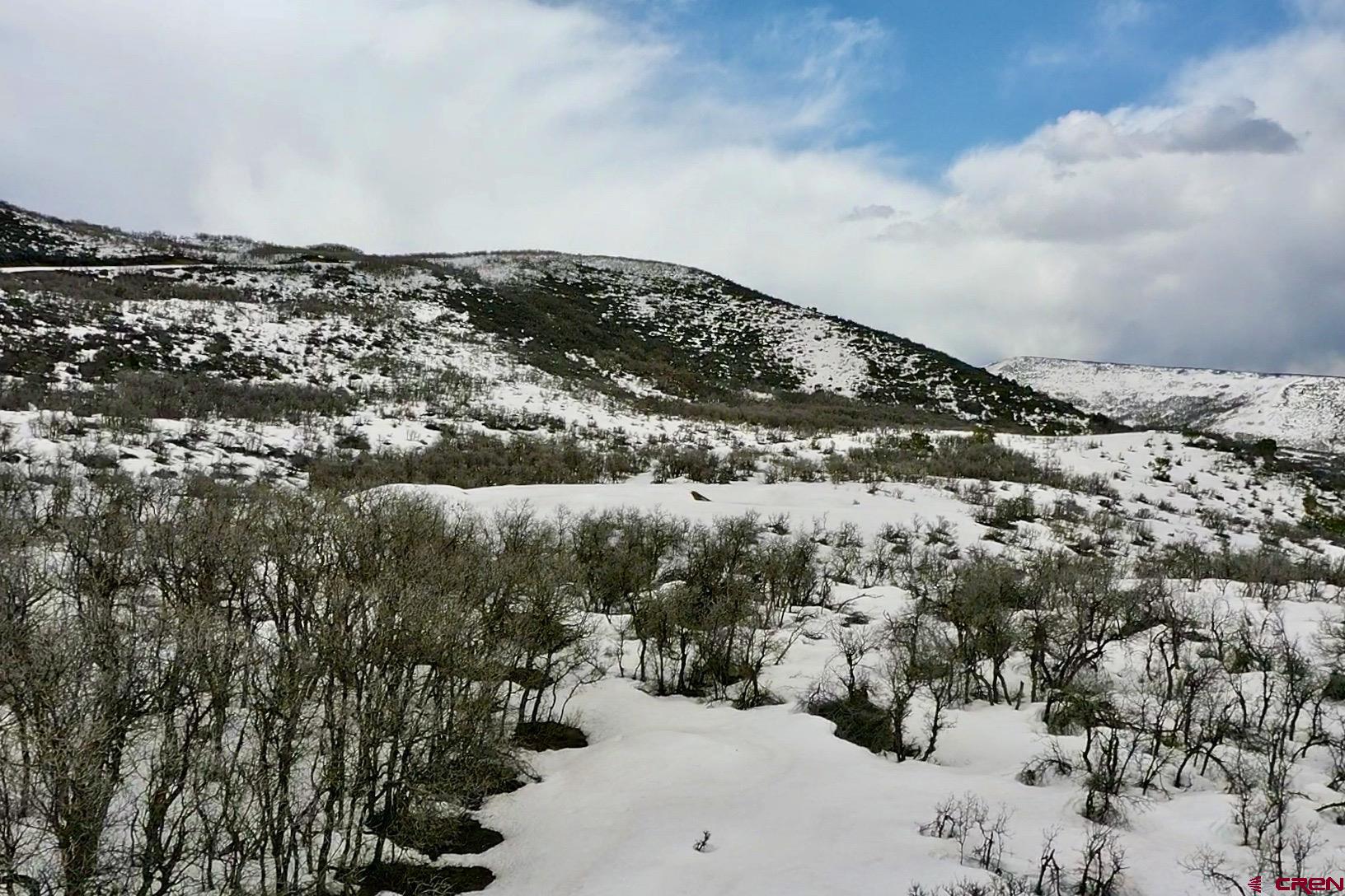 25137 Starner Loop Road Cedaredge, CO 81413 - Photo 29 of 33 a view of a sky