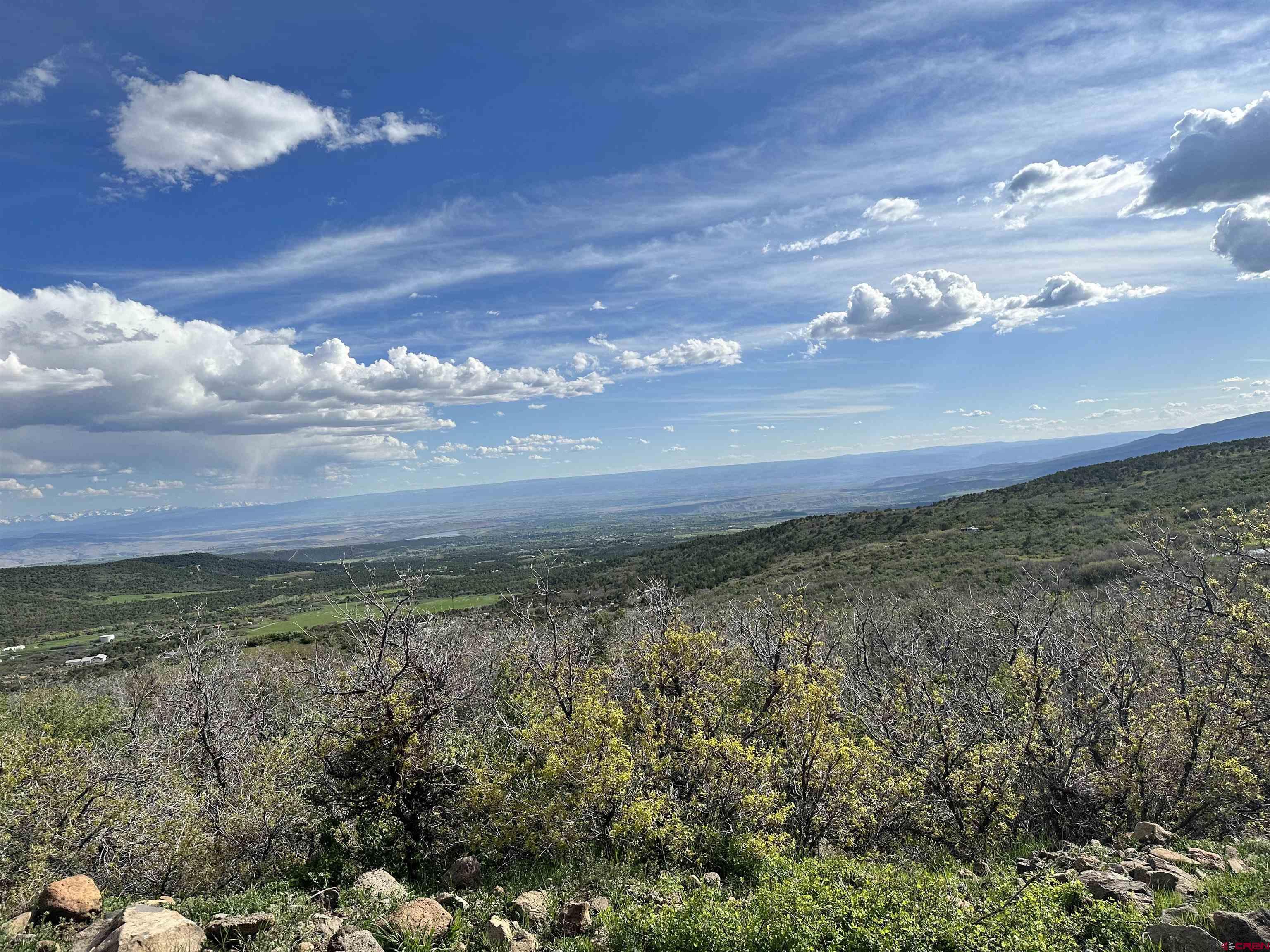 25137 Starner Loop Road Cedaredge, CO 81413 - Photo 31 of 33 a view of an ocean and a yard