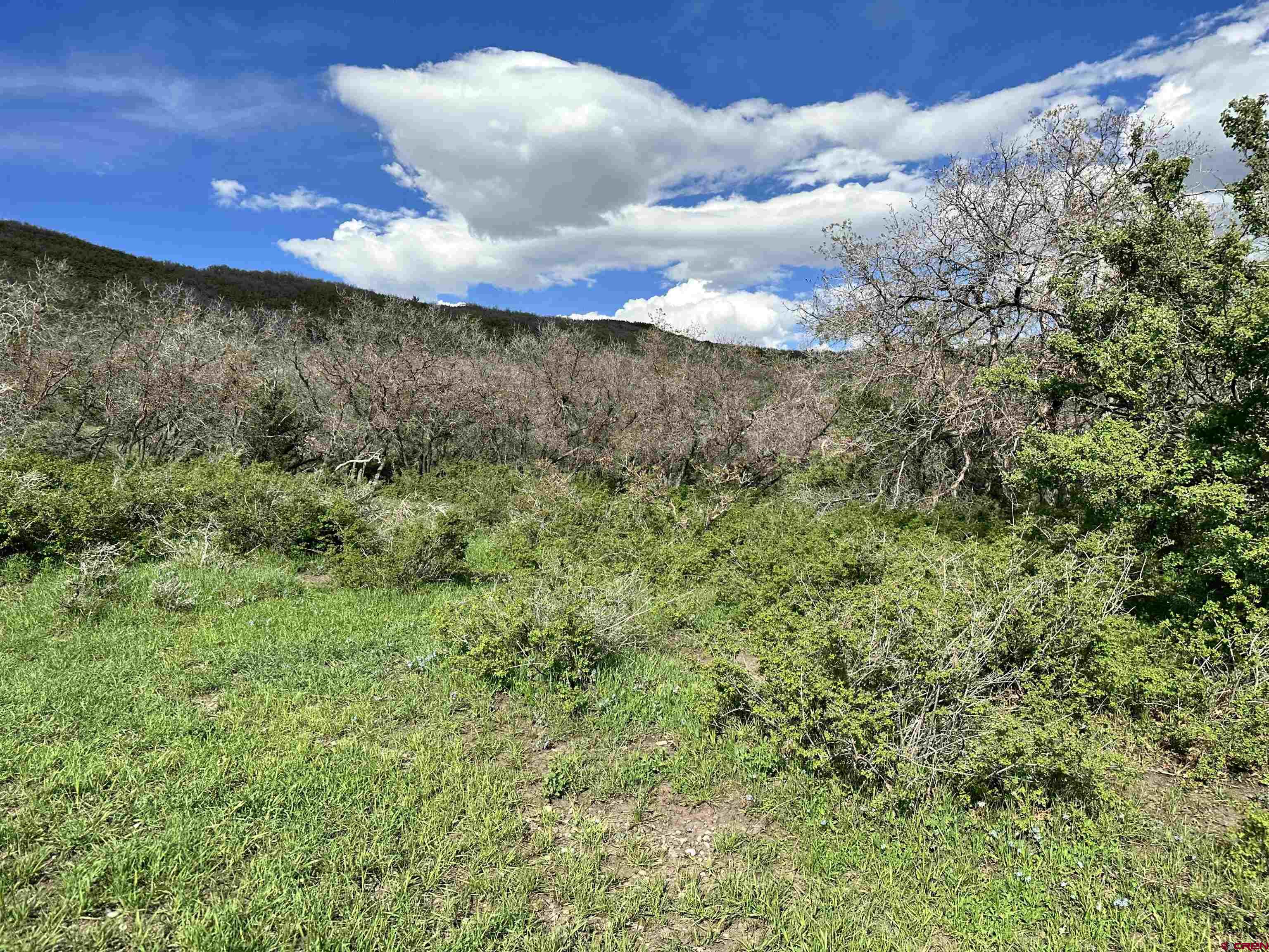 25137 Starner Loop Road Cedaredge, CO 81413 - Photo 5 of 33
