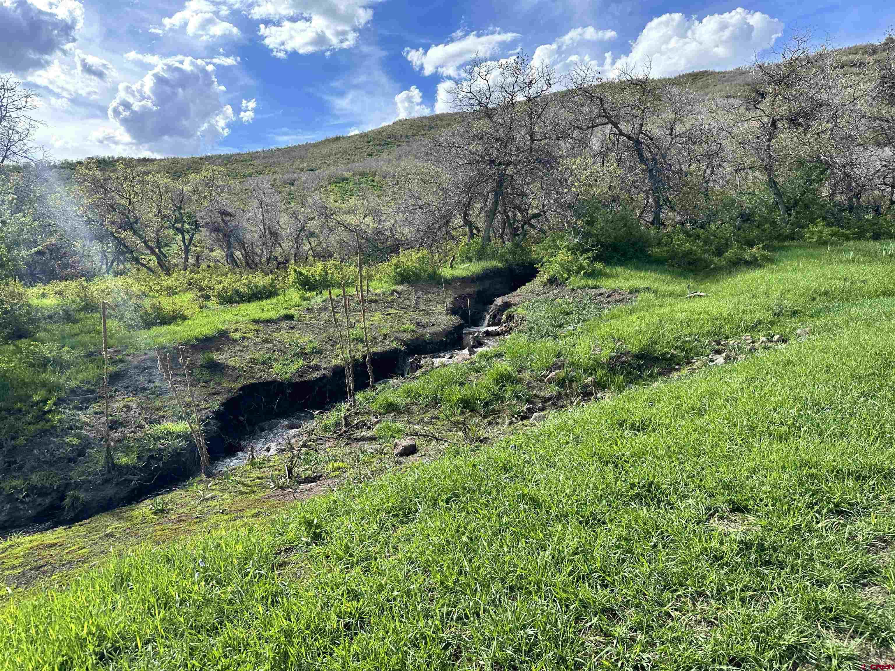 25137 Starner Loop Road Cedaredge, CO 81413 - Photo 6 of 33 a view of a back yard with green space