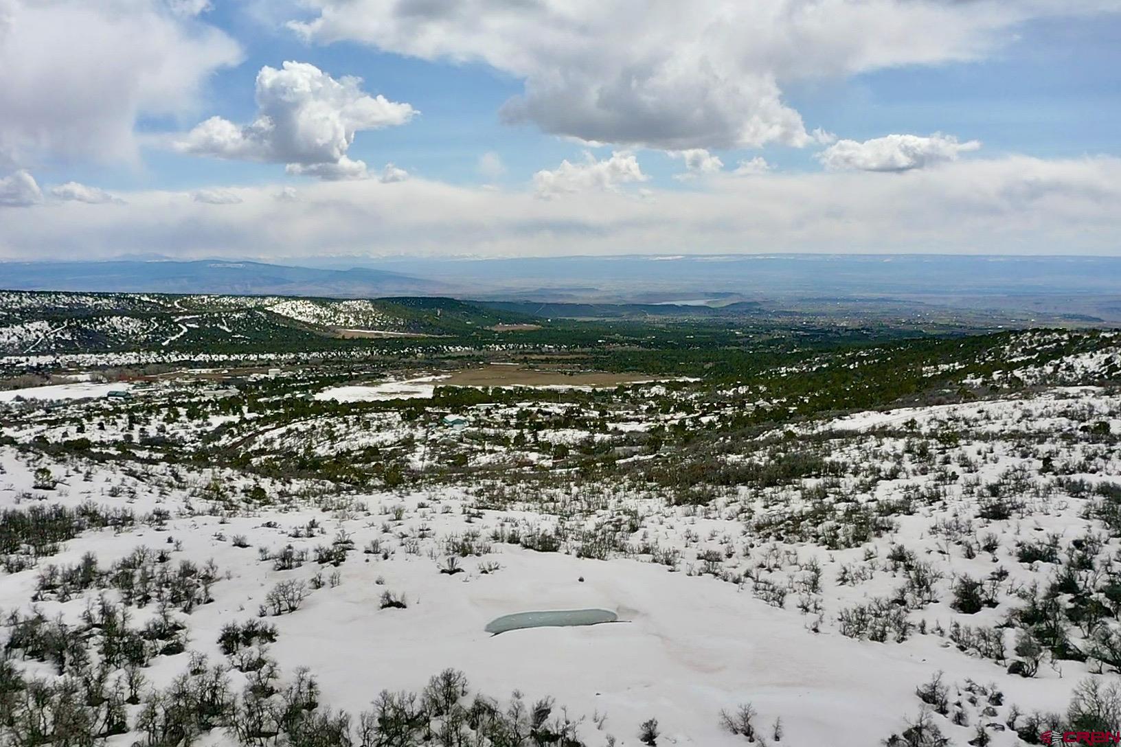 25137 Starner Loop Road Cedaredge, CO 81413 - Photo 7 of 33