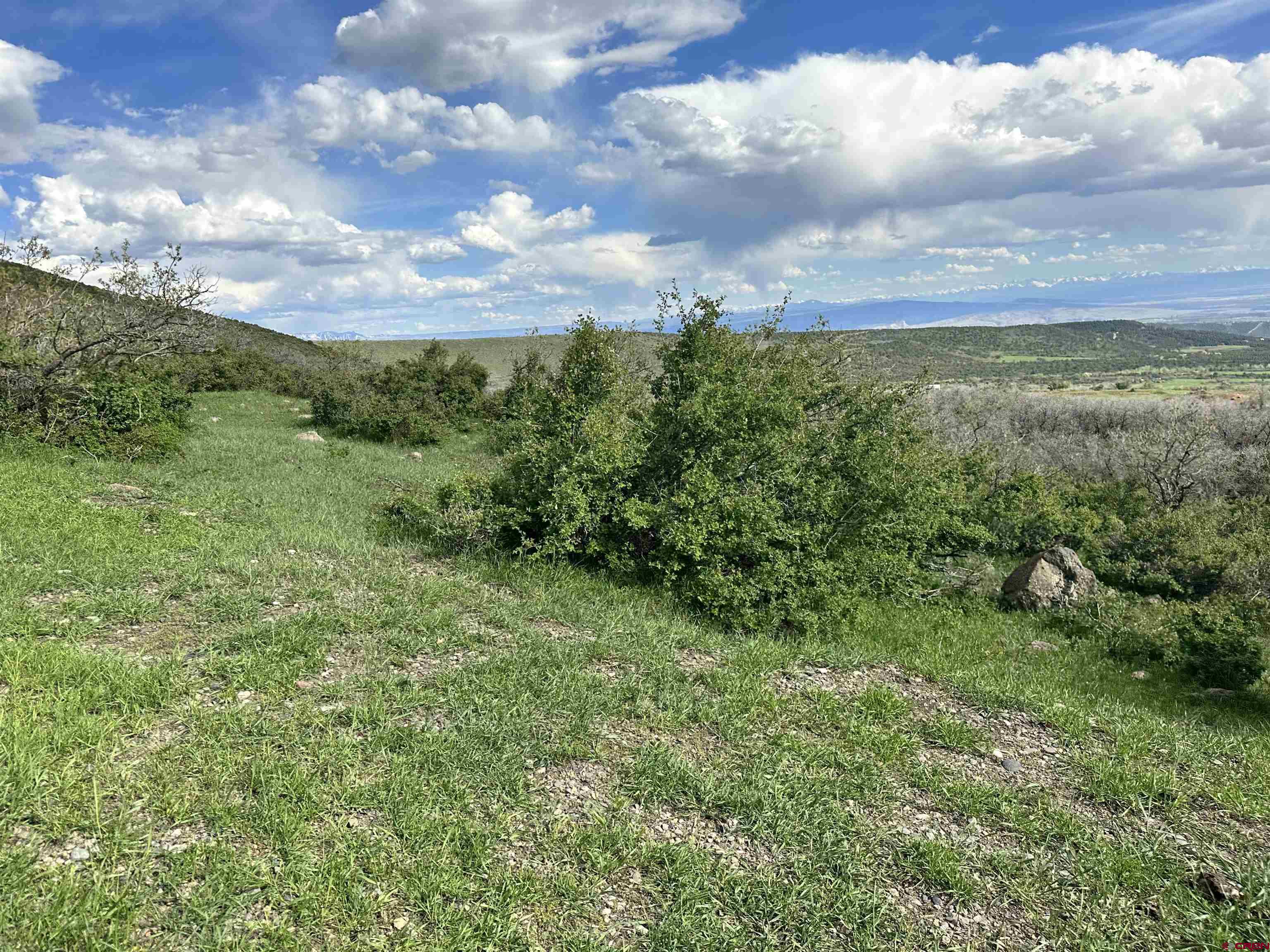 25137 Starner Loop Road Cedaredge, CO 81413 - Photo 9 of 33 a view of a green field with lots of green space