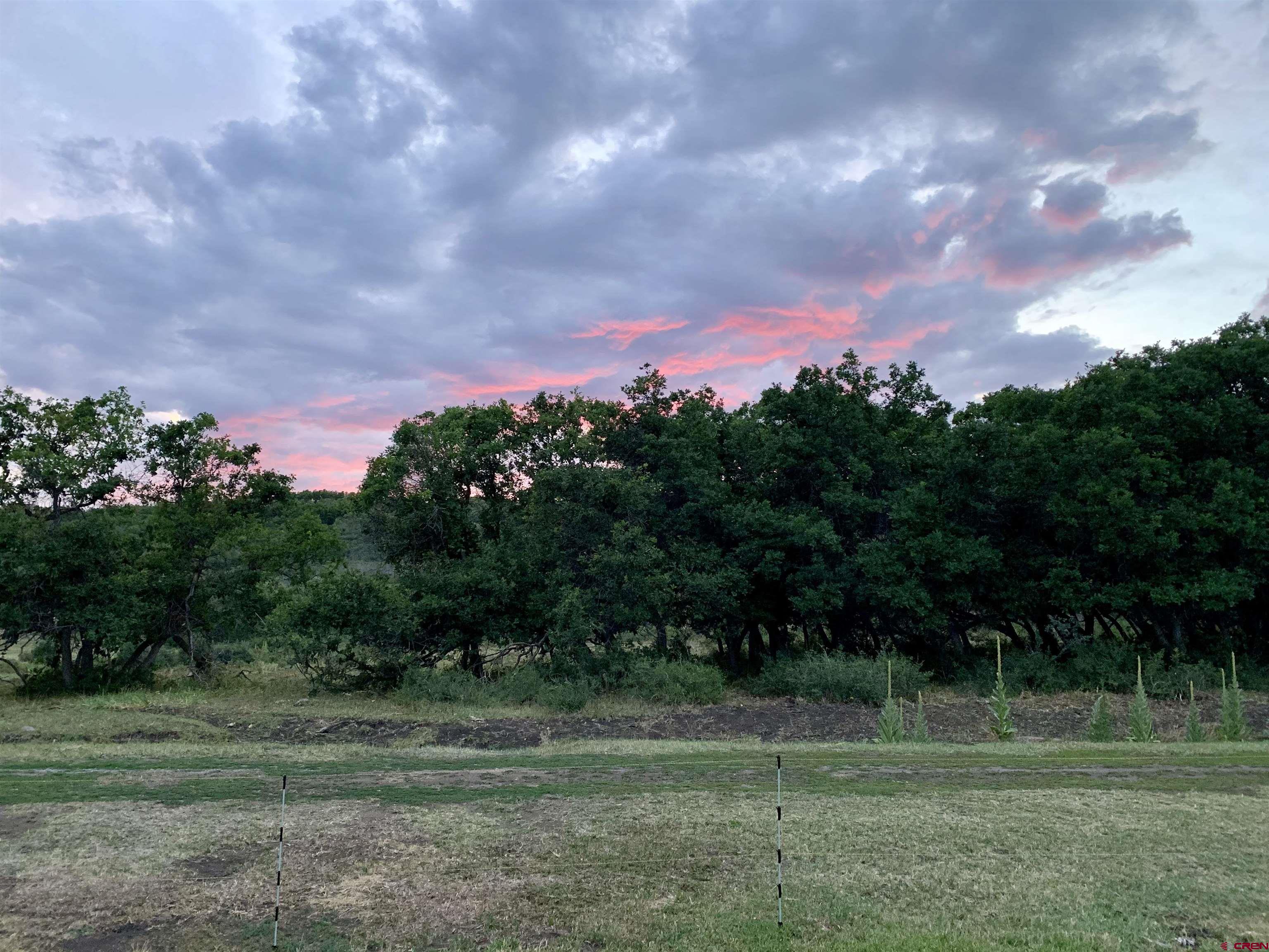 25137 Starner Loop Road Cedaredge, CO 81413 - Photo 10 of 33 a view of a yard