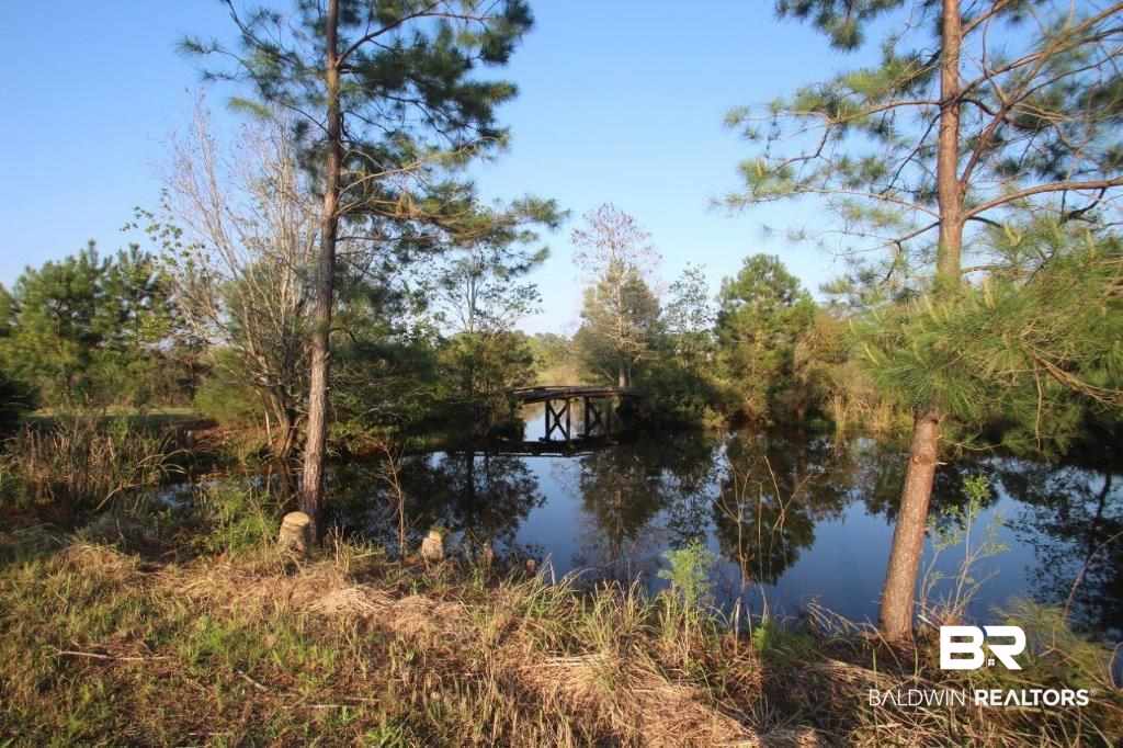 3700 St Andrews Place Mobile, AL 36693 - Photo 4 of 30