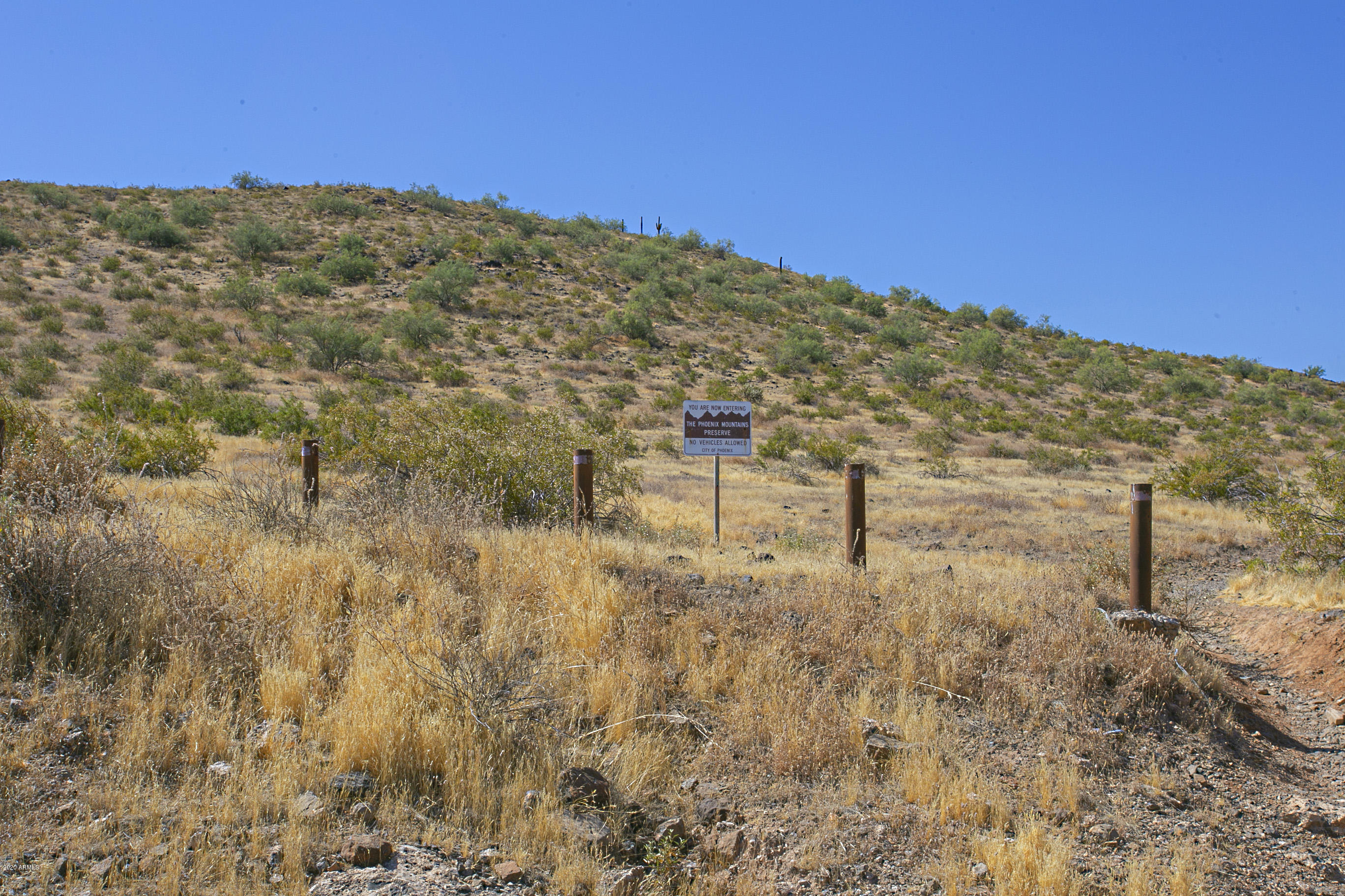 13238 North 3rd Way Phoenix, AZ 85022 - Photo 4 of 36 4 (1)