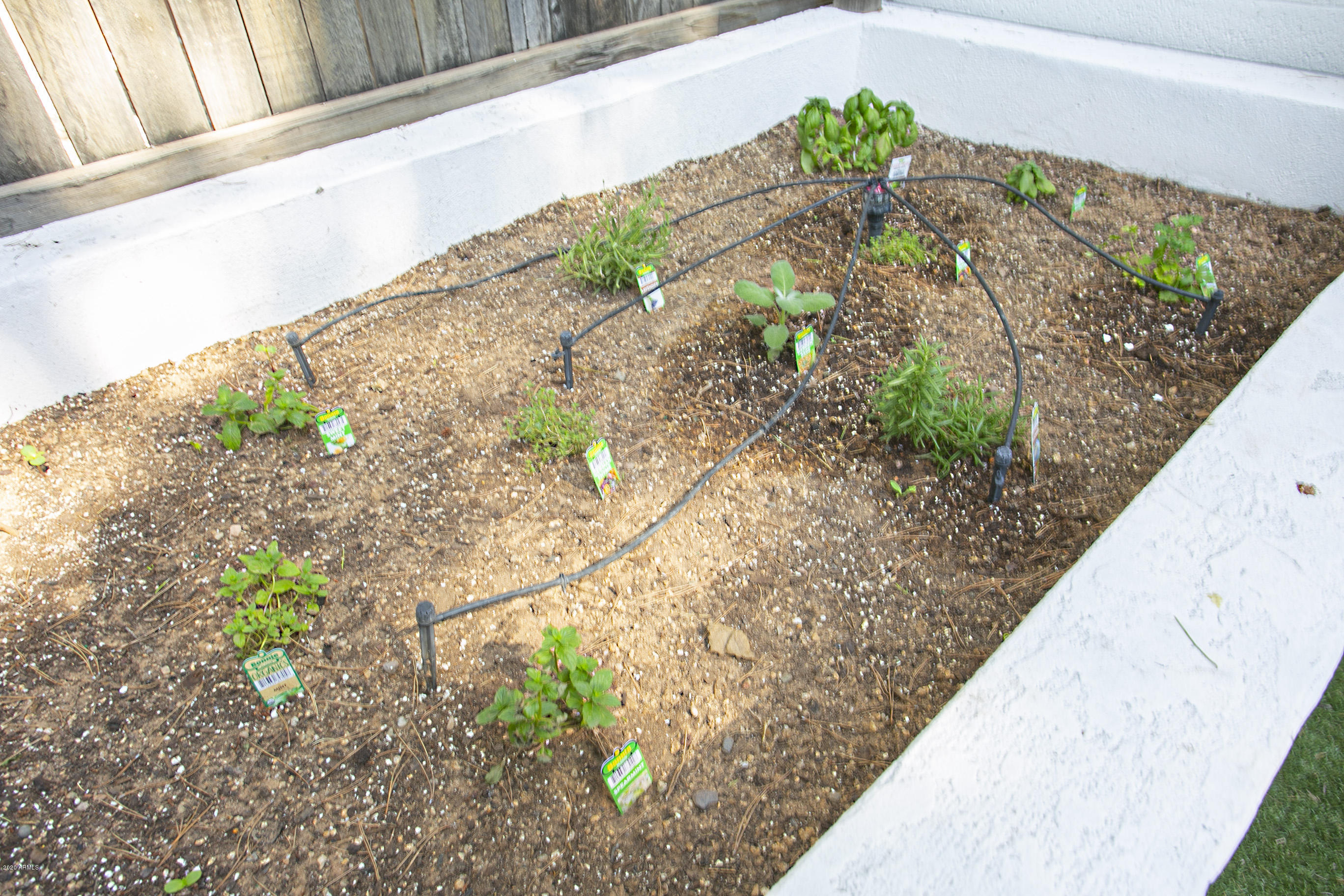 13238 North 3rd Way Phoenix, AZ 85022 - Photo 9 of 36 10 (1)