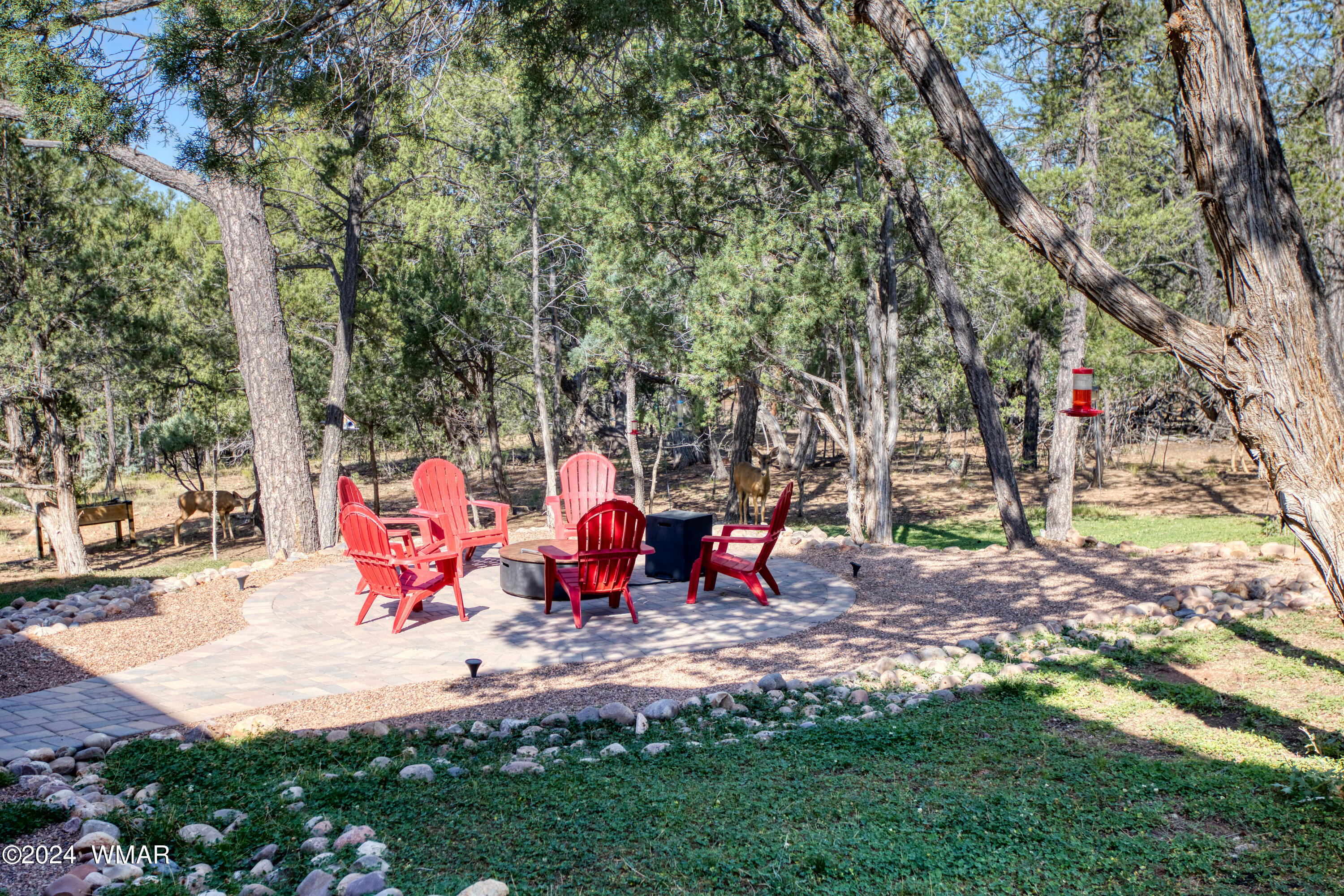 3500 West Falling Leaf Road Show Low, AZ 85901 - Photo 35 of 65 035_Firepit Area