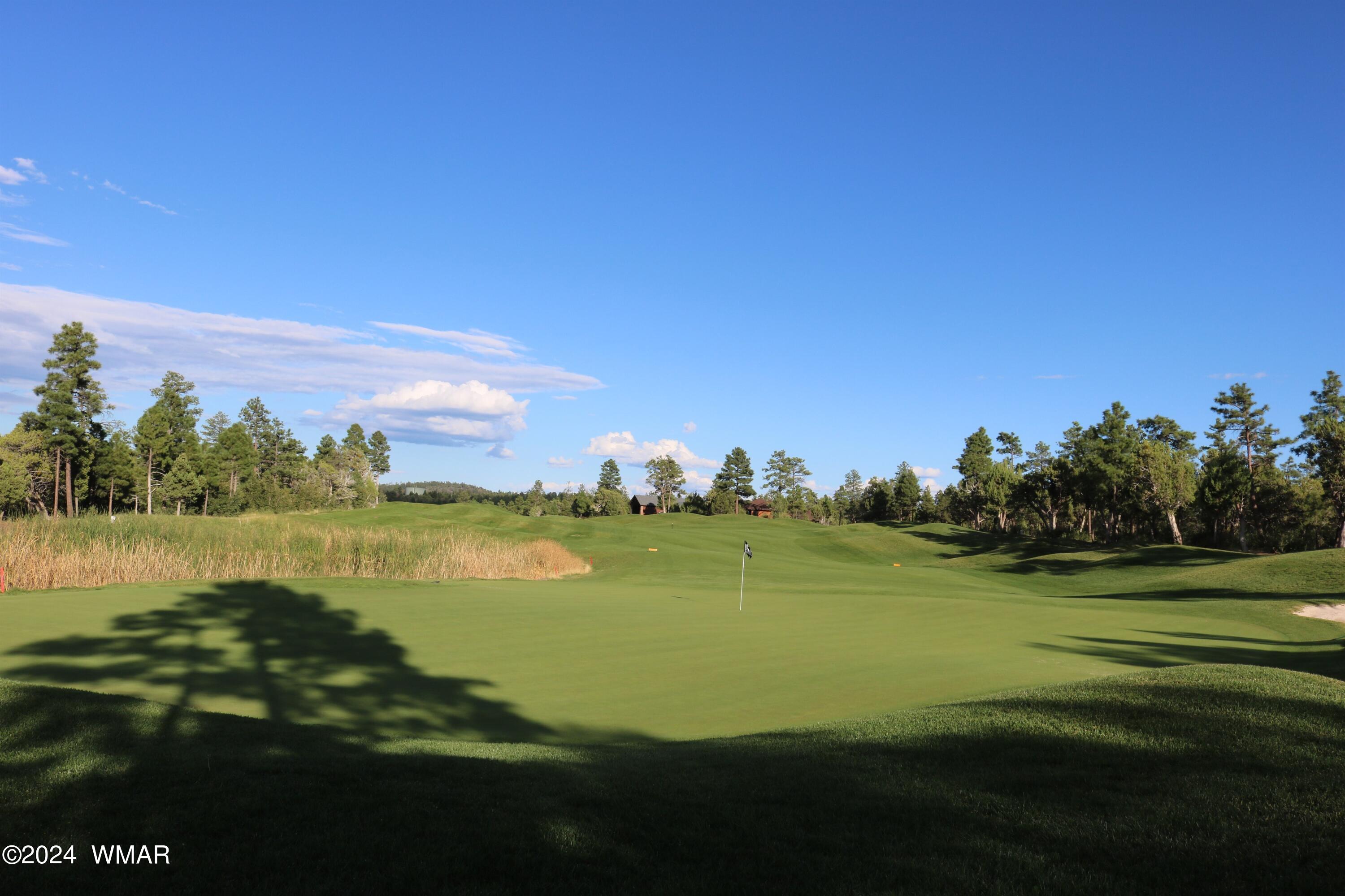 3500 West Falling Leaf Road Show Low, AZ 85901 - Photo 65 of 65 065_Torreon Golf Course