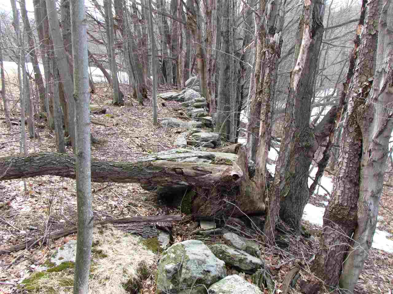 920 Dump Road Warren, VT 05674 - Photo 30 of 37