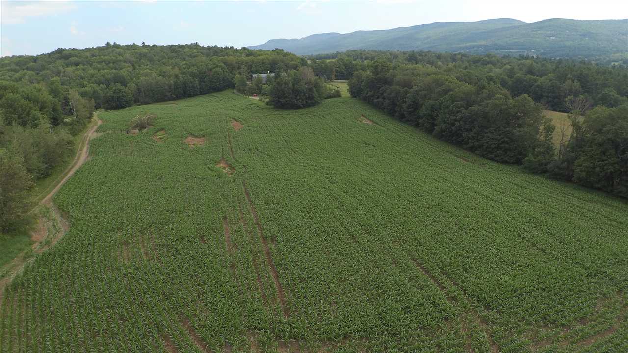 920 Dump Road Warren, VT 05674 - Photo 4 of 37