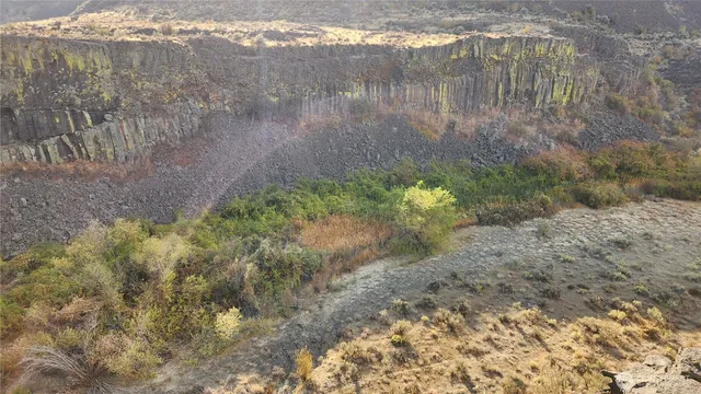 a view of a backyard of a house