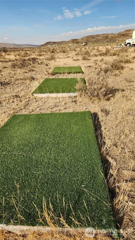 a view of a house with a lush green forest
