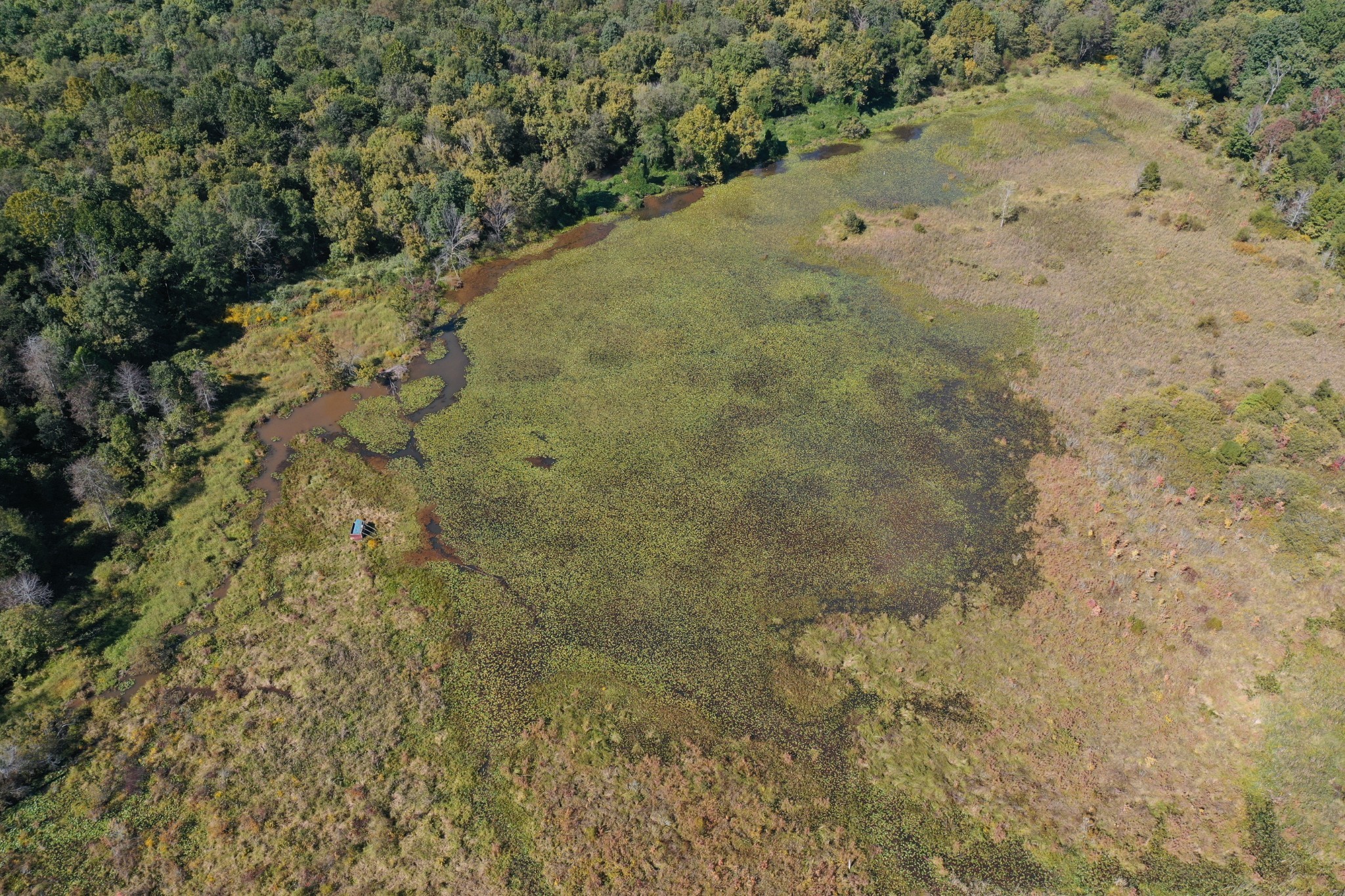 0 Herrondale East Road Henry, TN 38231 - Photo 11 of 44 a view of a yard