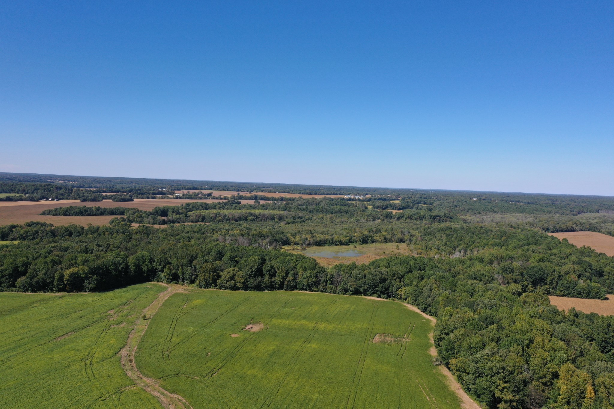 0 Herrondale East Road Henry, TN 38231 - Photo 15 of 44 a view of a field with an ocean