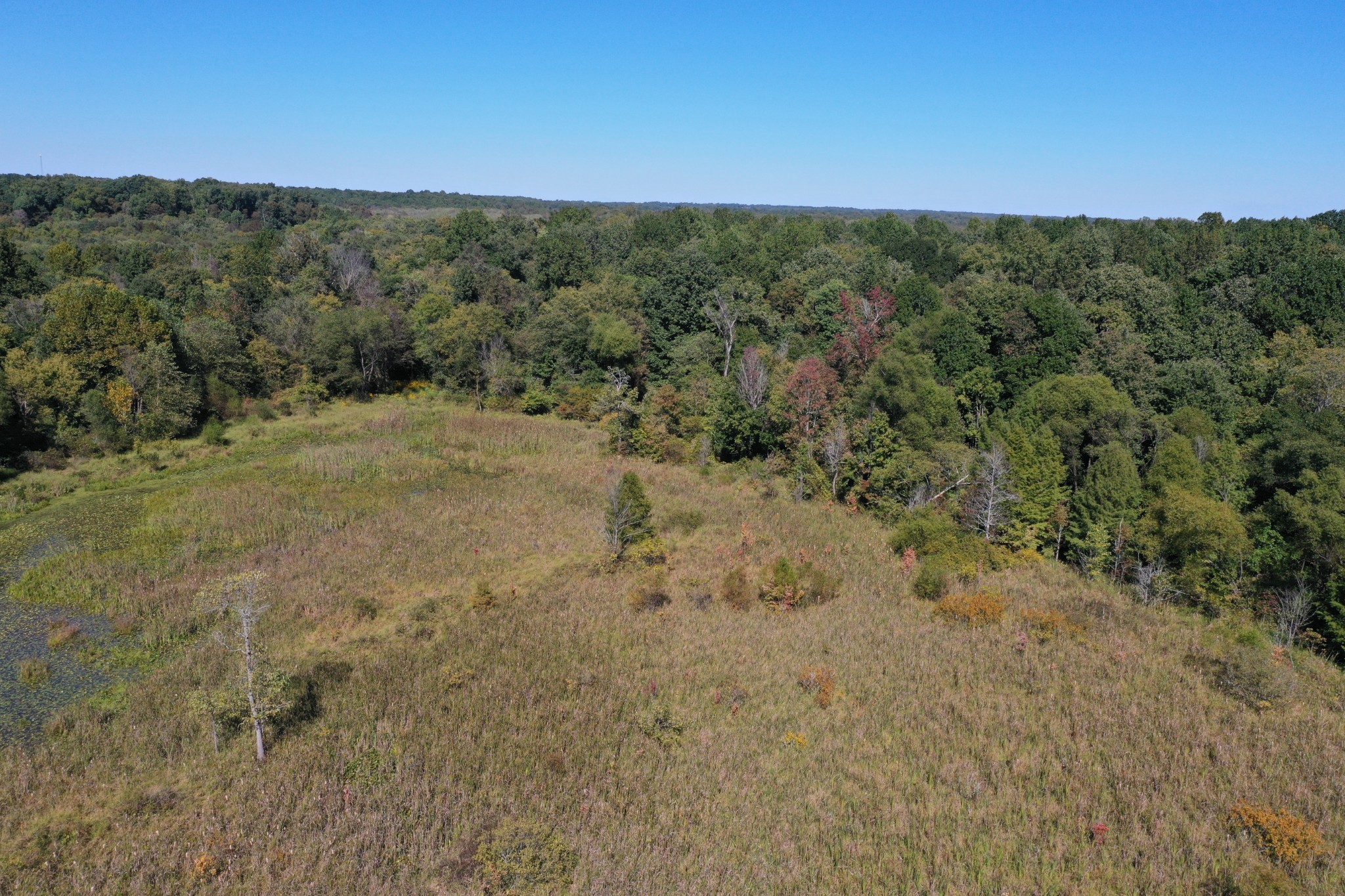 0 Herrondale East Road Henry, TN 38231 - Photo 16 of 44 a view of a field with trees in the background