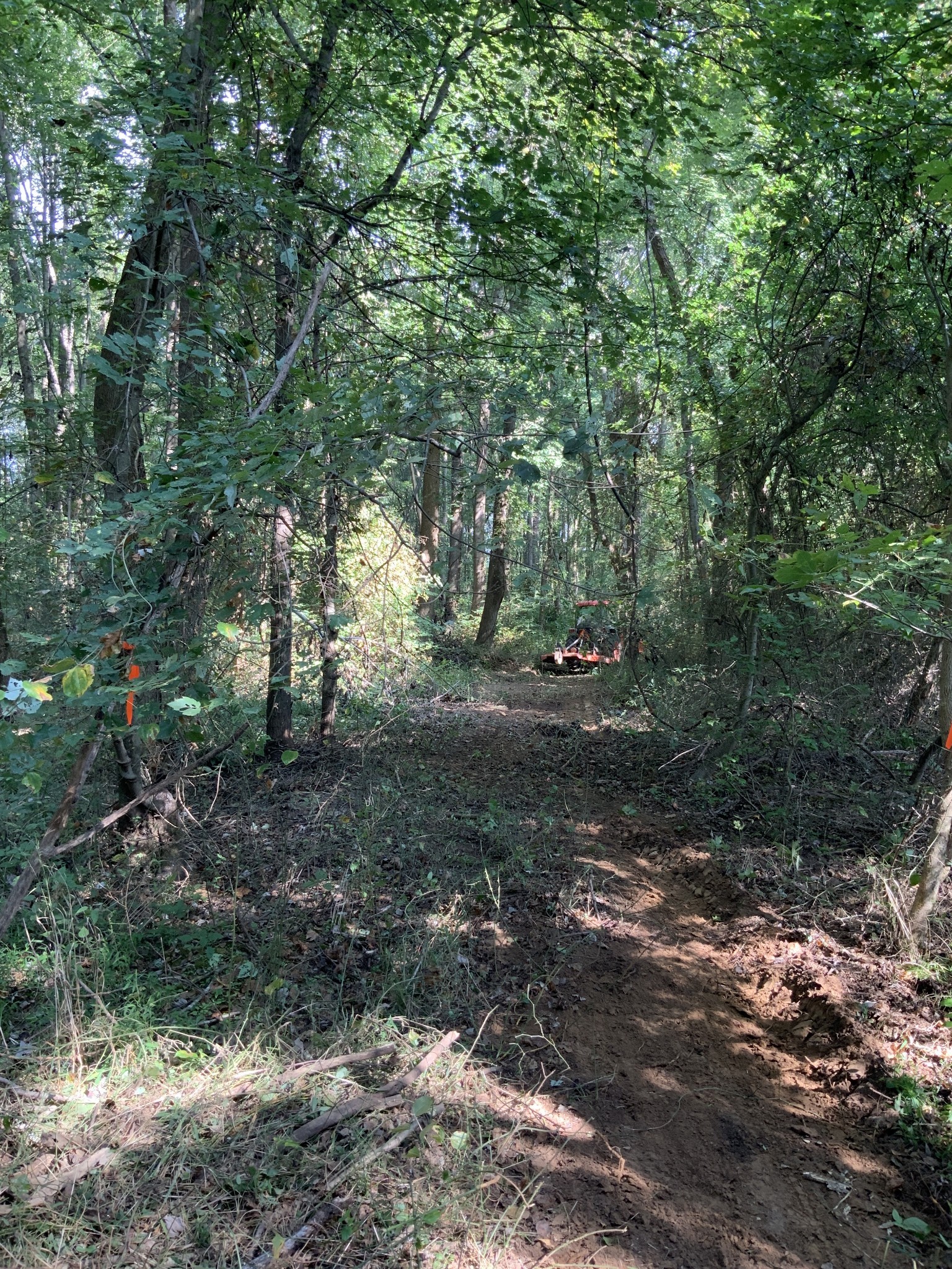 0 Herrondale East Road Henry, TN 38231 - Photo 19 of 44 a view of a forest with trees in the background
