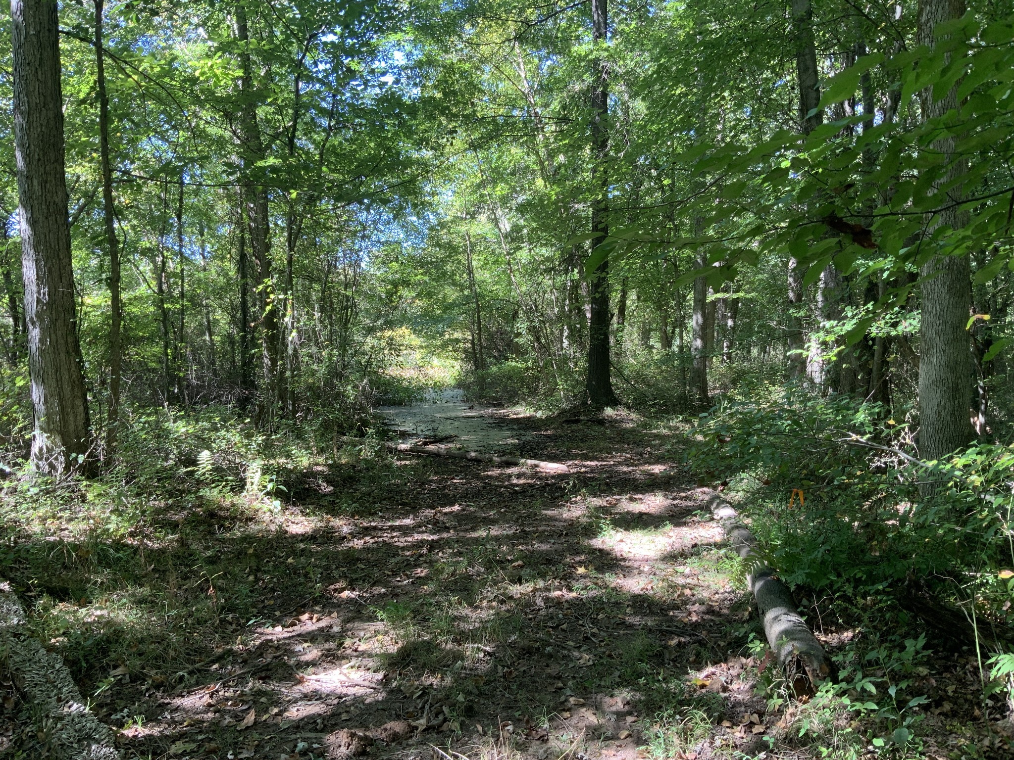 0 Herrondale East Road Henry, TN 38231 - Photo 4 of 44 a view of outdoor space and trees