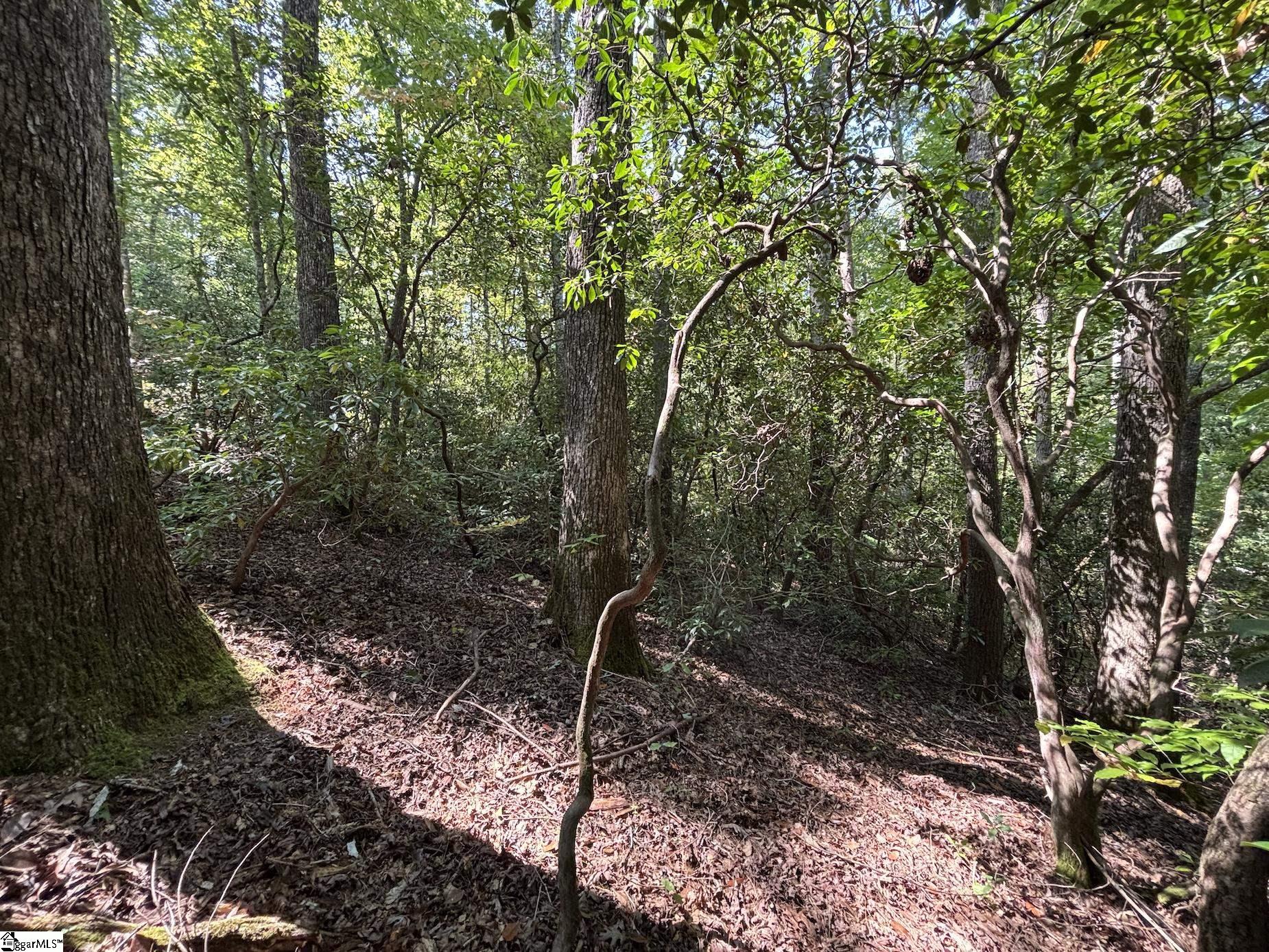 0 Whitewater Lake Road Tamassee, SC 29686 - Photo 2 of 13
