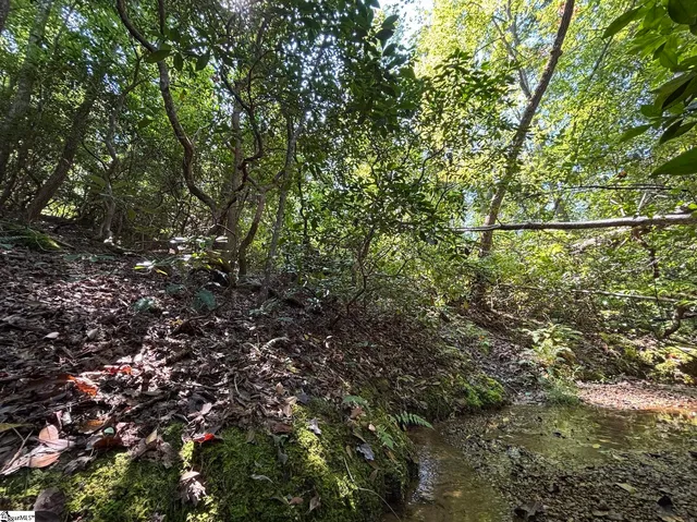 $30,000 | 0 Whitewater Lake Road, Tamassee, SC 29686