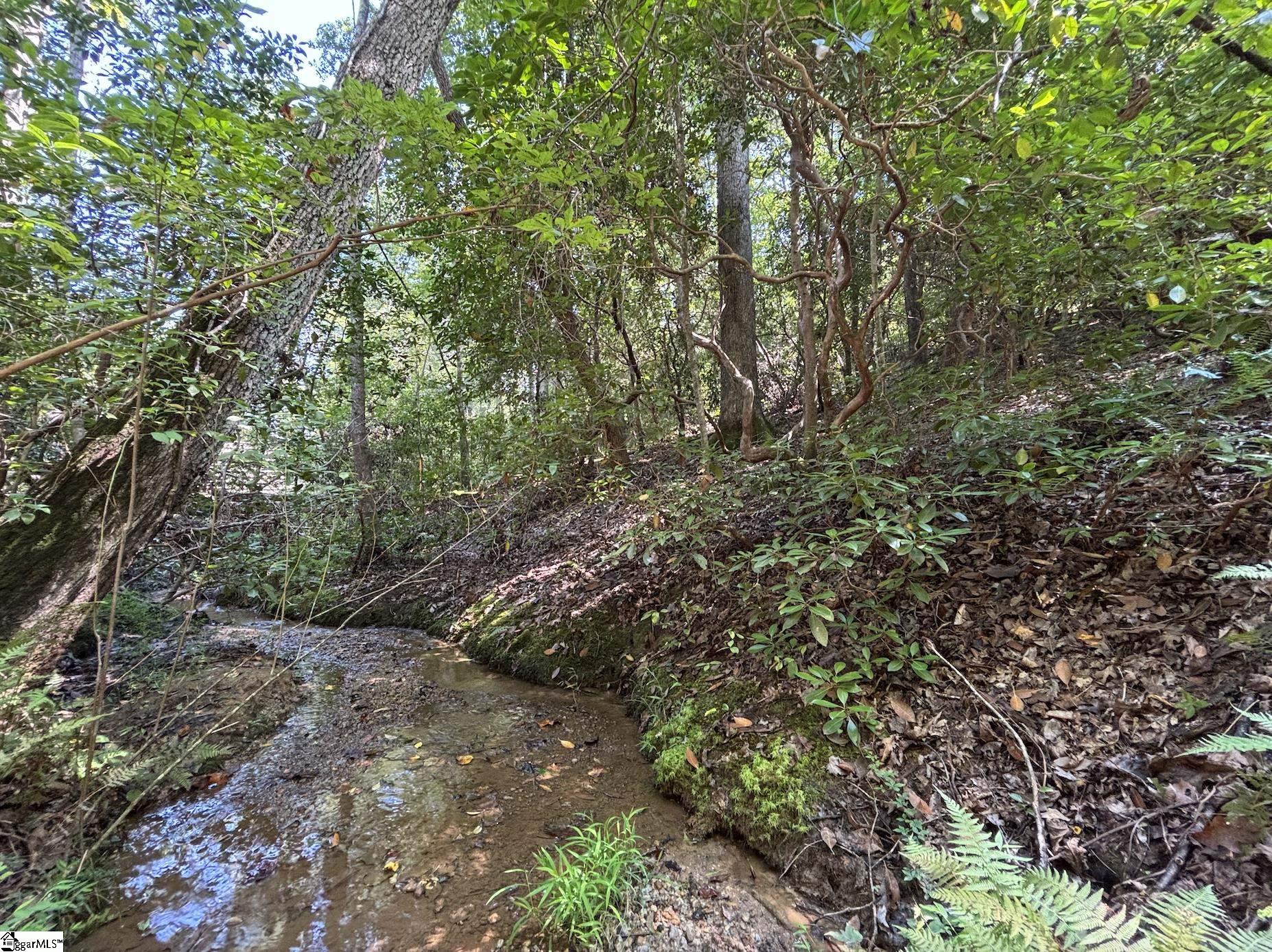 0 Whitewater Lake Road Tamassee, SC 29686 - Photo 4 of 13
