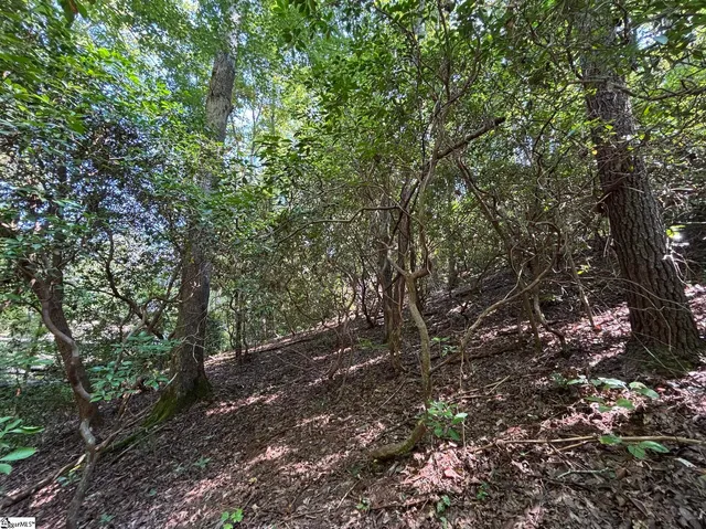 $30,000 | 0 Whitewater Lake Road, Tamassee, SC 29686