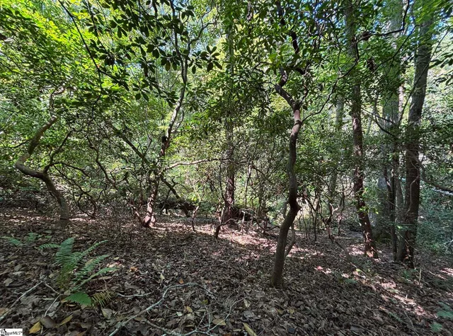 $30,000 | 0 Whitewater Lake Road, Tamassee, SC 29686