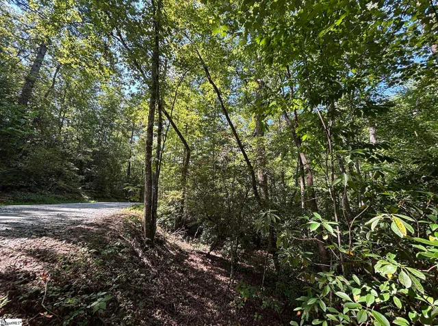 $30,000 | 0 Whitewater Lake Road, Tamassee, SC 29686