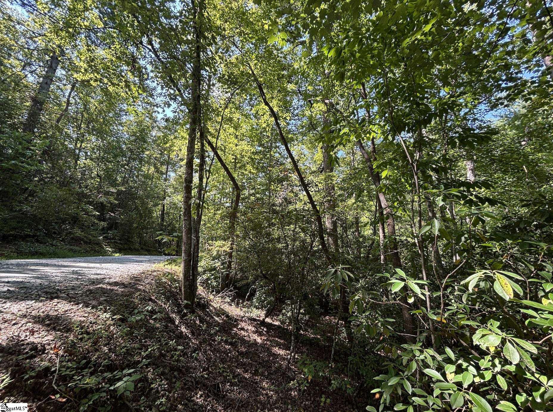 0 Whitewater Lake Road Tamassee, SC 29686 - Photo 7 of 13