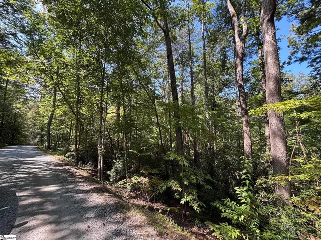 $30,000 | 0 Whitewater Lake Road, Tamassee, SC 29686
