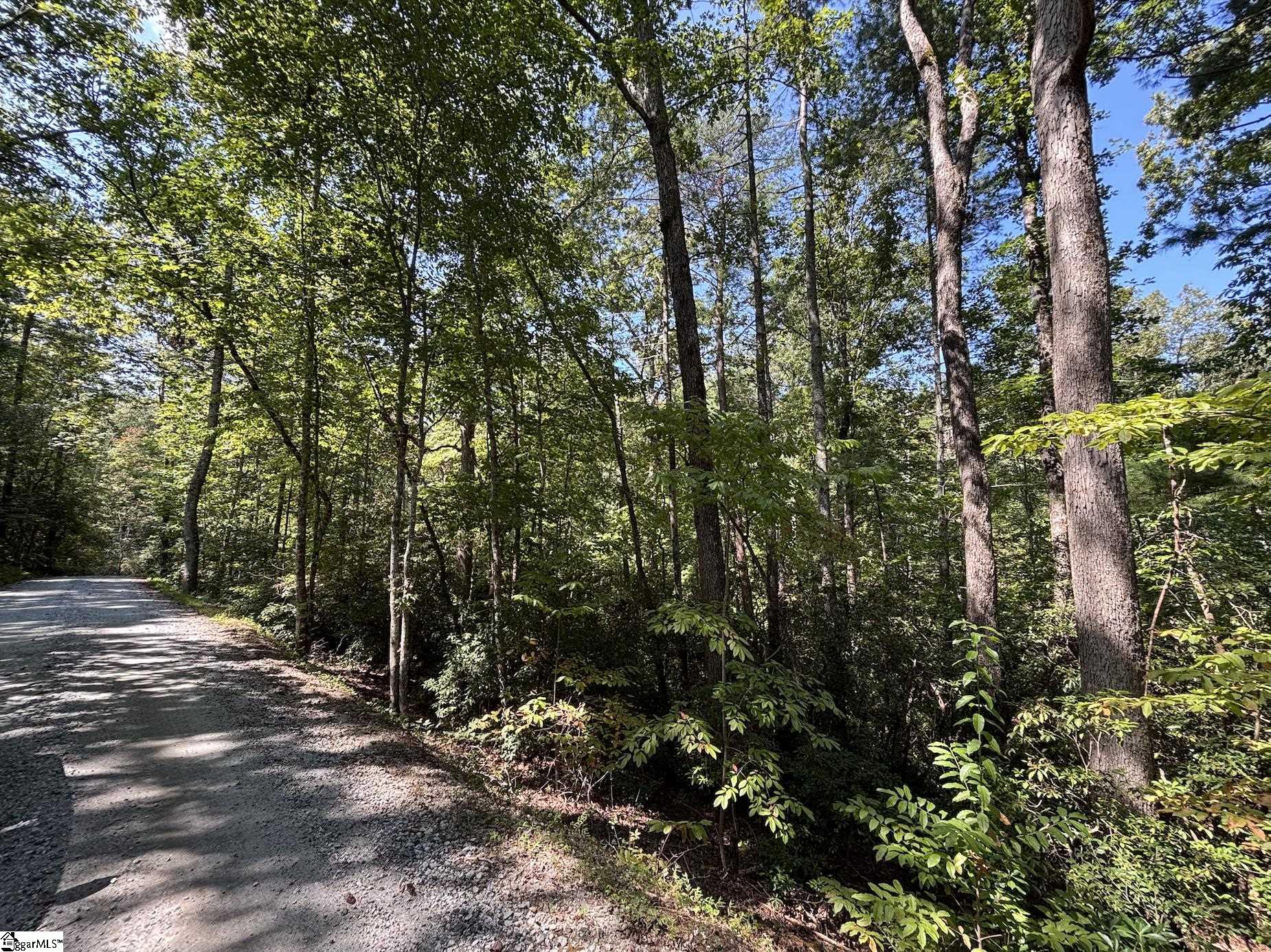 0 Whitewater Lake Road Tamassee, SC 29686 - Photo 8 of 13