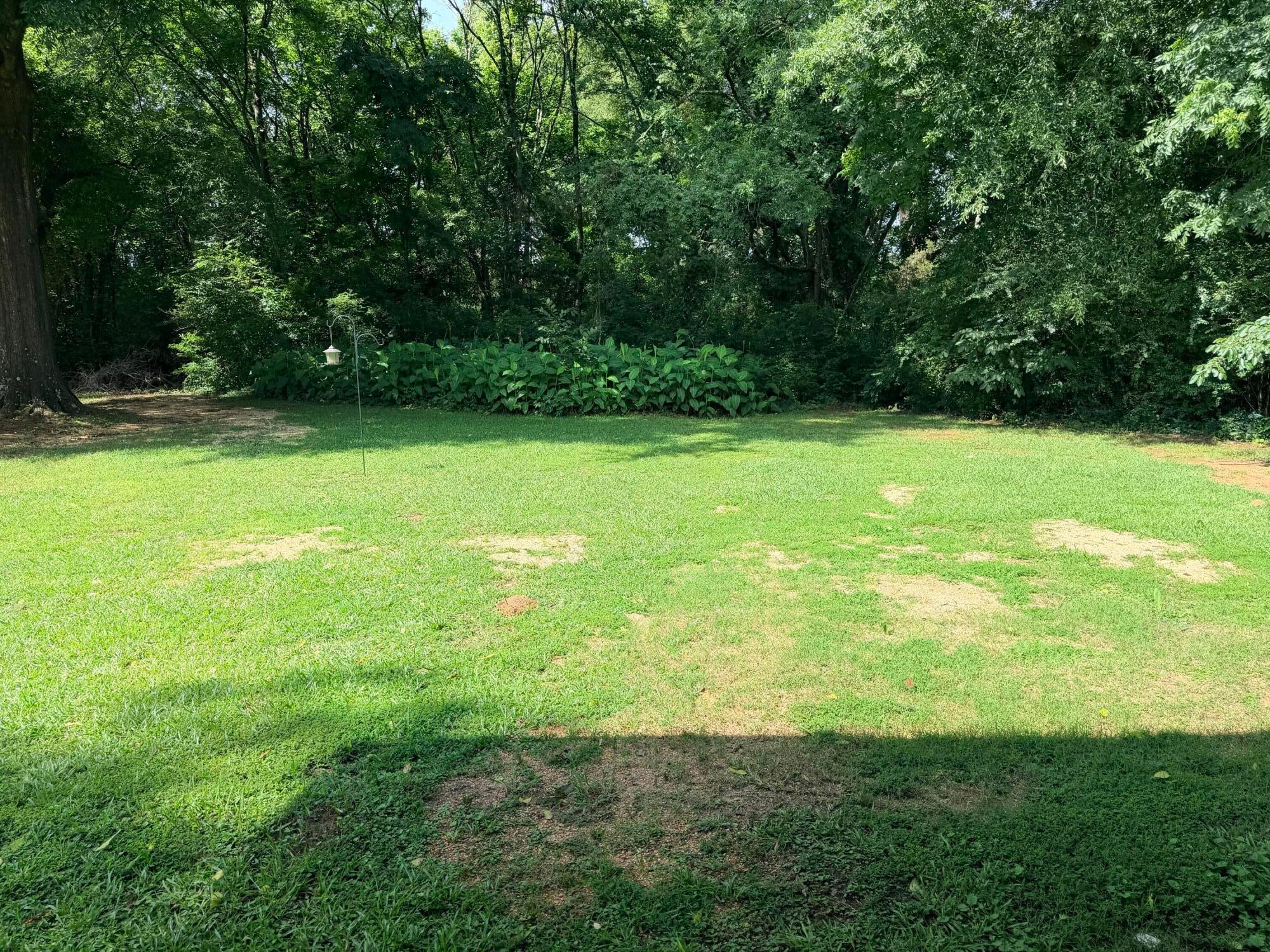 30334 Central Grove Road Aberdeen, MS 39730 - Photo 20 of 20 Gallery Image 20