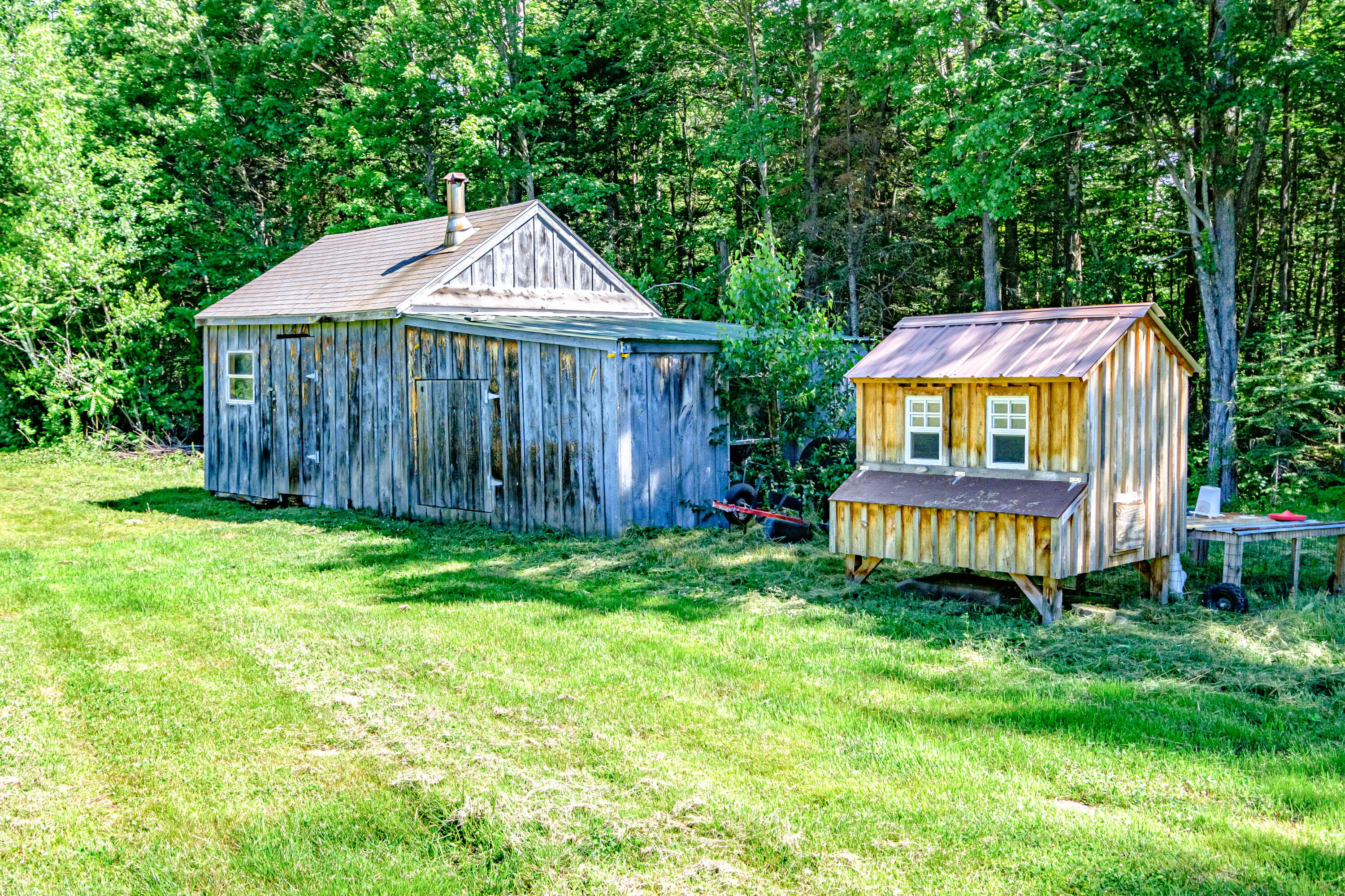 244 South Effingham Road West Newfield, ME 04095 - Photo 40 of 48 20220708gp-60052