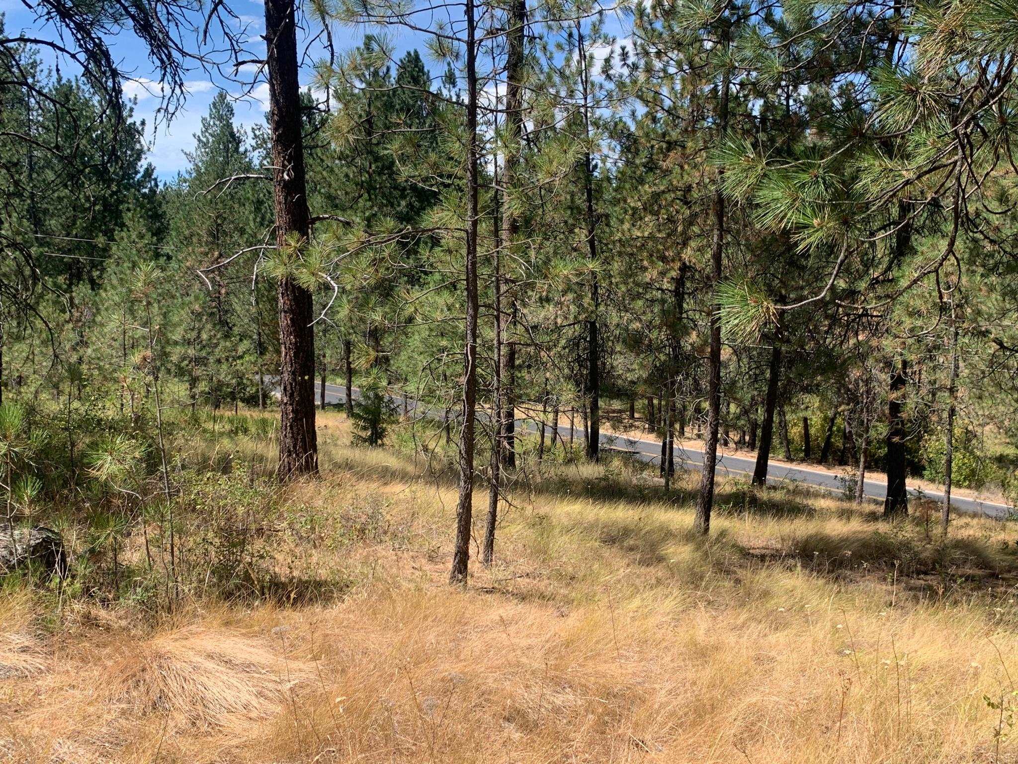 160-xx North Austin Road Spokane, WA 99208 - Photo 1 of 16