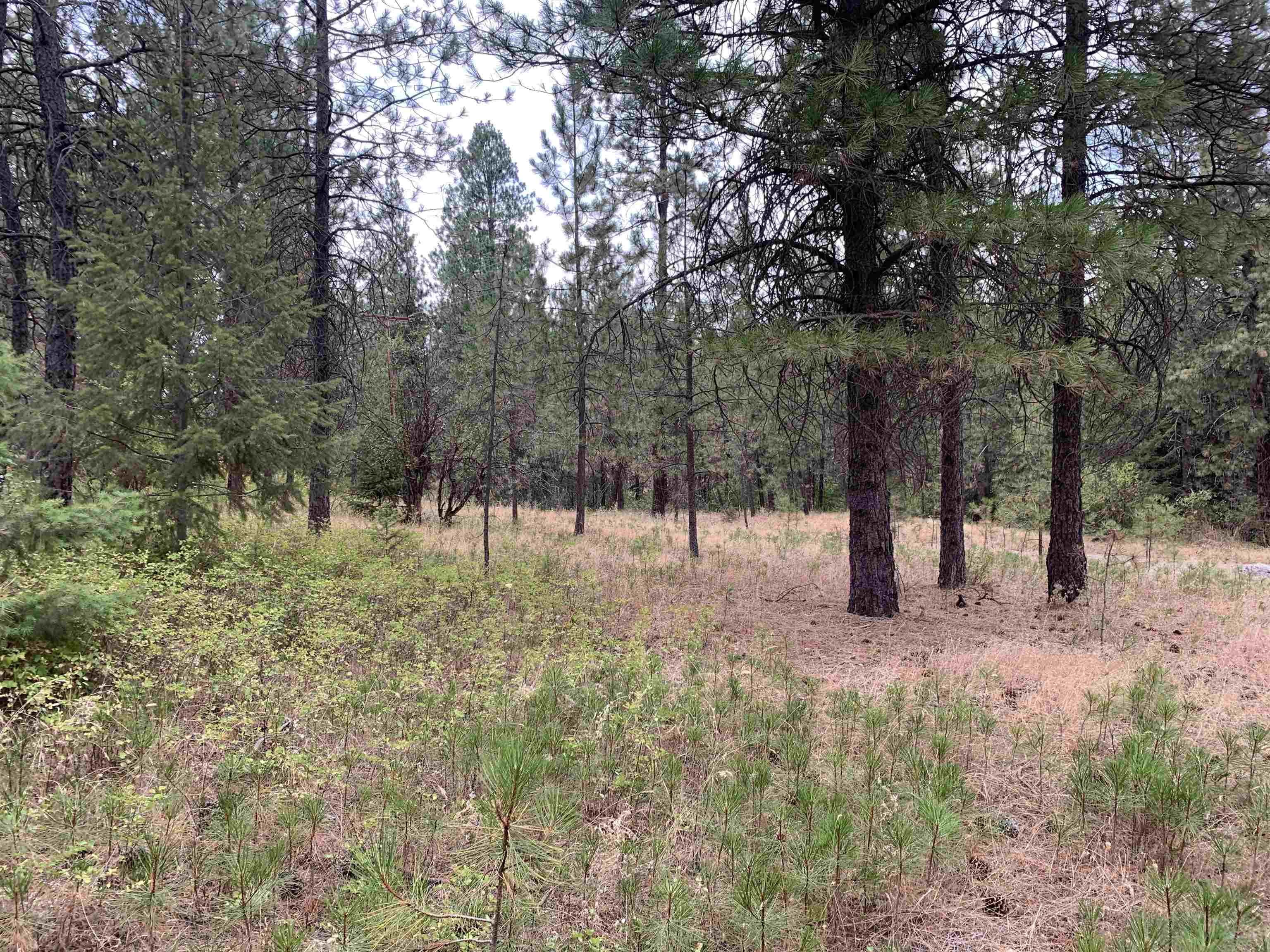 160-xx North Austin Road Spokane, WA 99208 - Photo 11 of 16